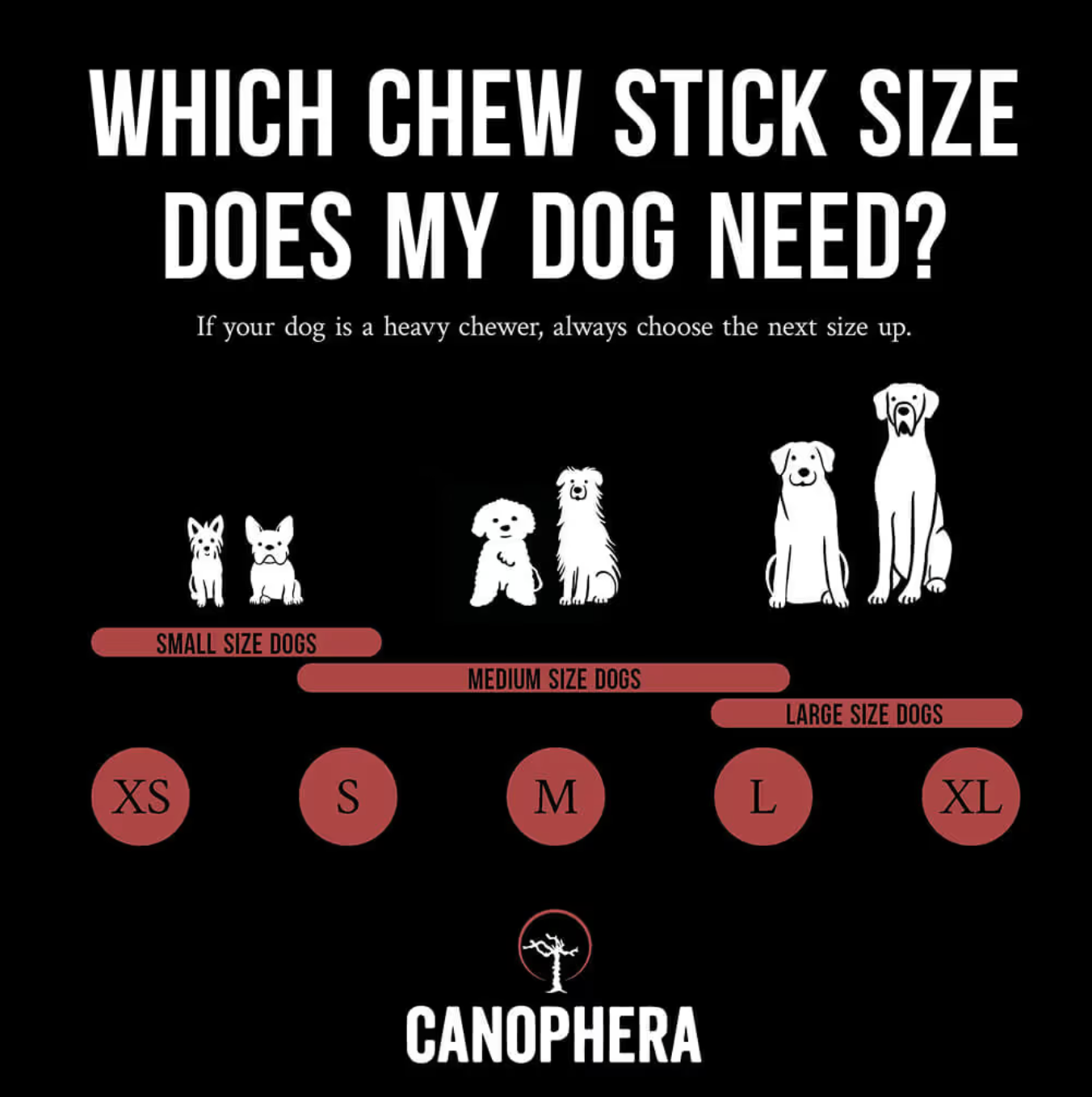 Screenshot 2026-03-03 at 3.49.09 PM.png