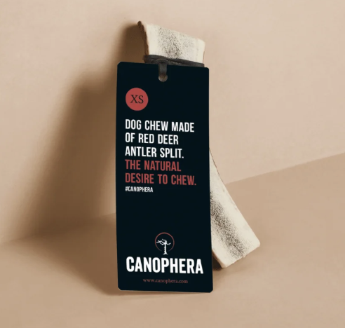 Screenshot 2026-03-03 at 3.48.44 PM.png