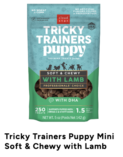 Screenshot 2026-03-03 at 1.41.56 PM.png