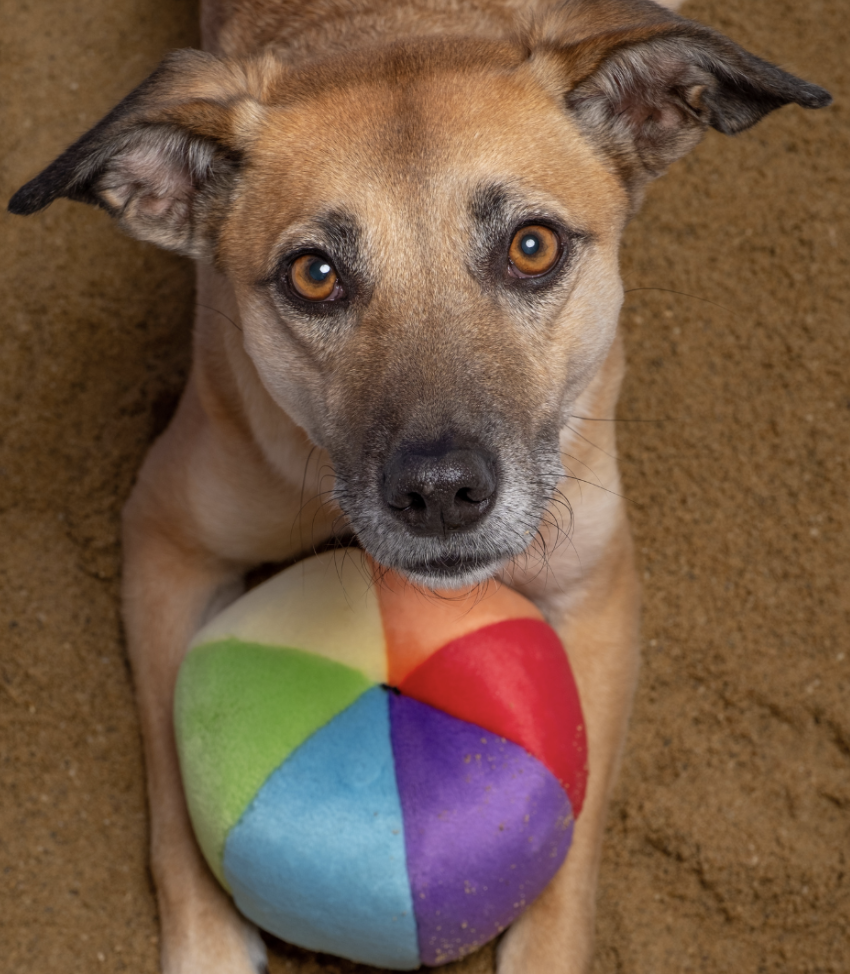 Screenshot 2026-03-02 at 2.39.37 PM.png