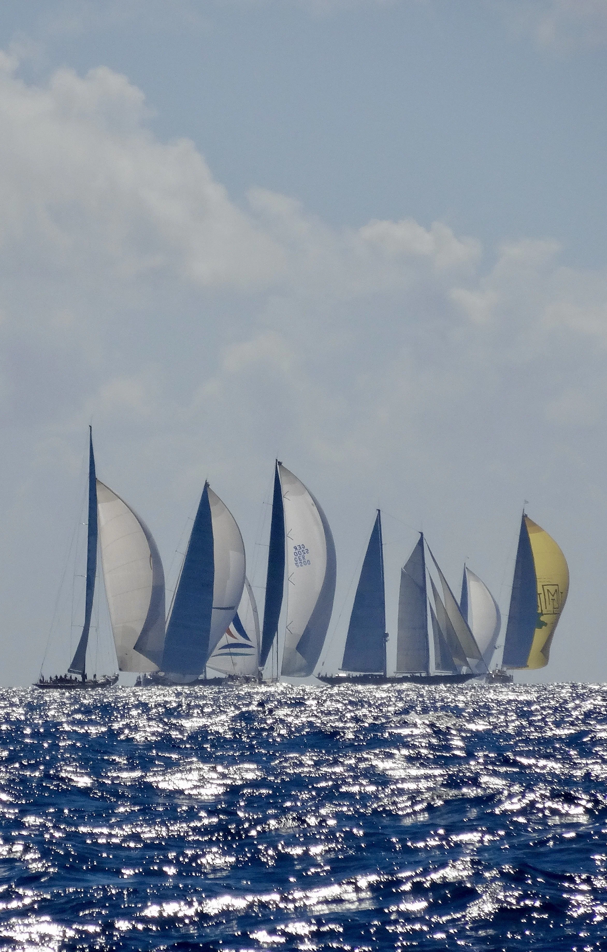 Multiple sailboats with large spinnakers sailing on the ocean during the daytime.