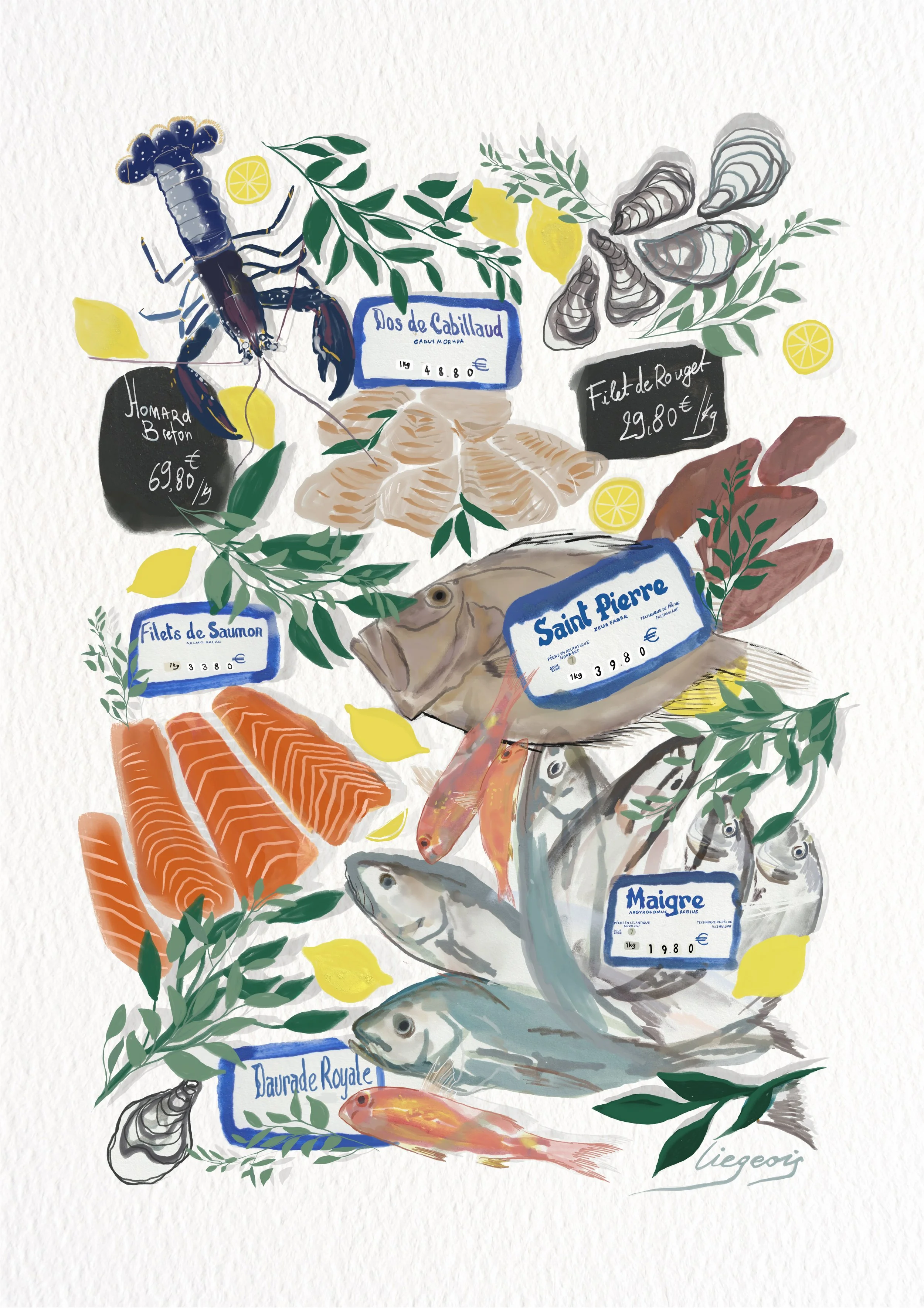 Untitled_Artwork 11 copy 2.jpg