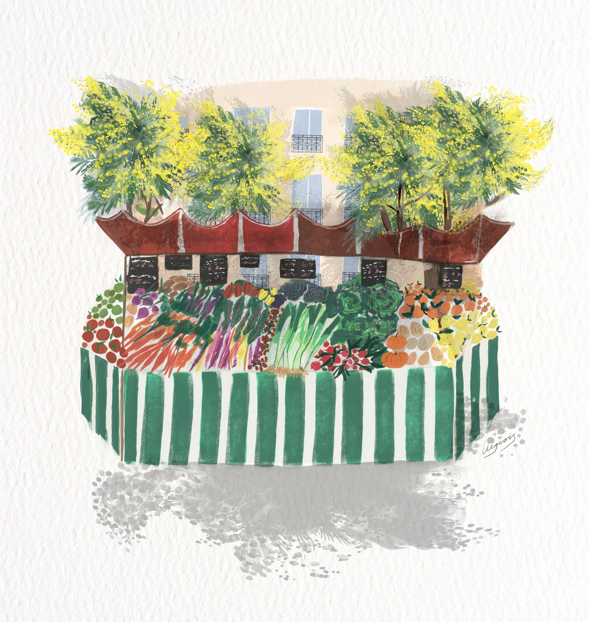 Untitled_Artwork 11 copy 4.jpg