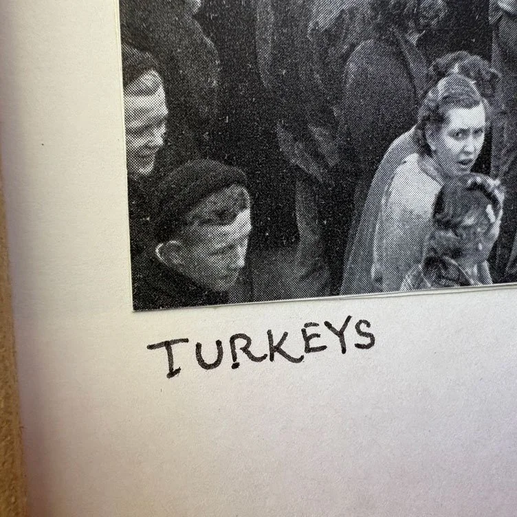 Turkeys-4.jpg
