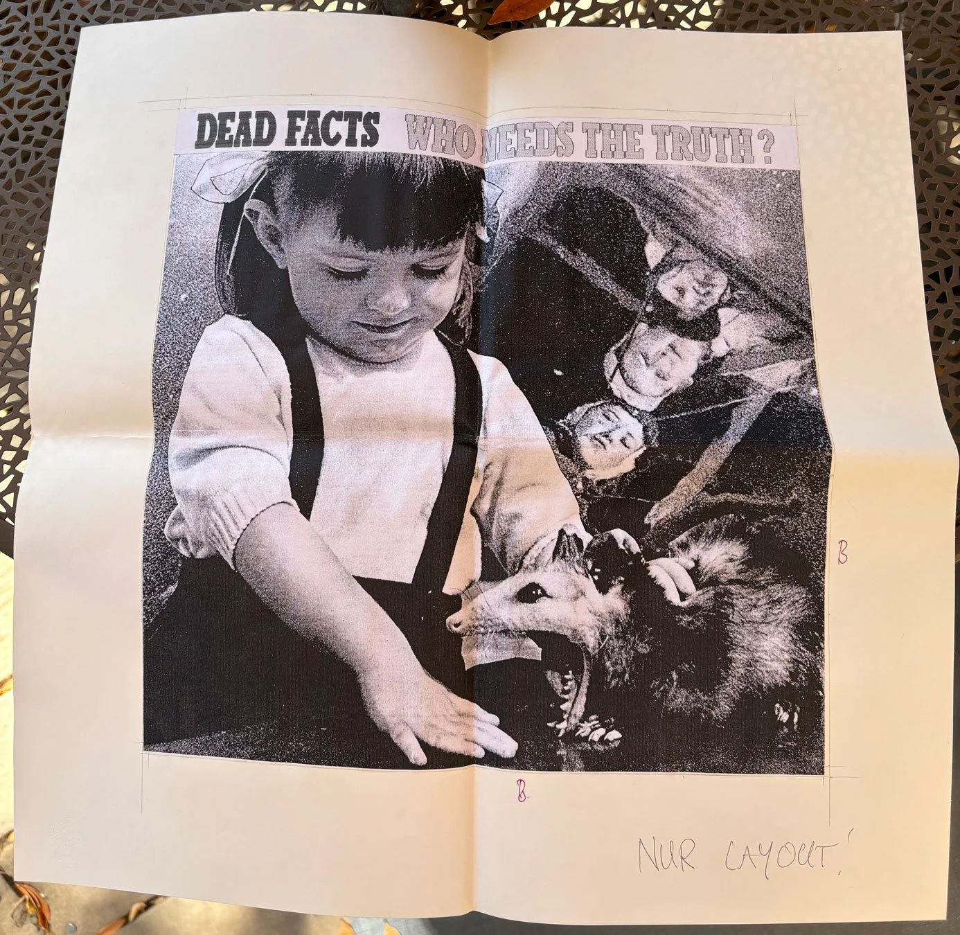 Dead Facts Camera Ready Front
