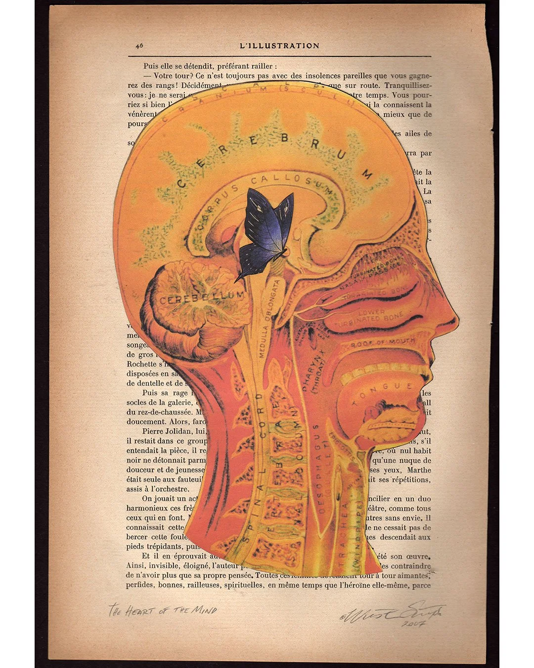 Heart-of-the-Mind-2.jpg