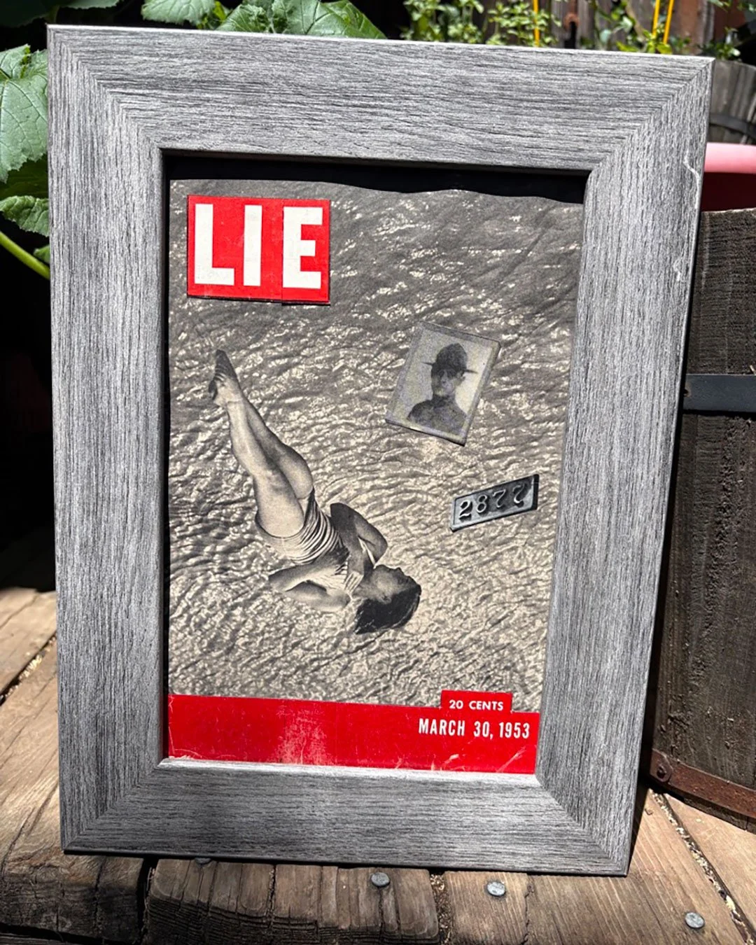 Lie-2877-1.jpg