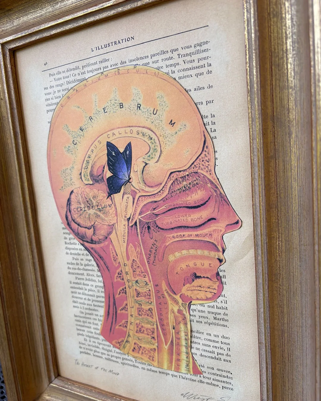 Heart-of-the-Mind-4.jpg