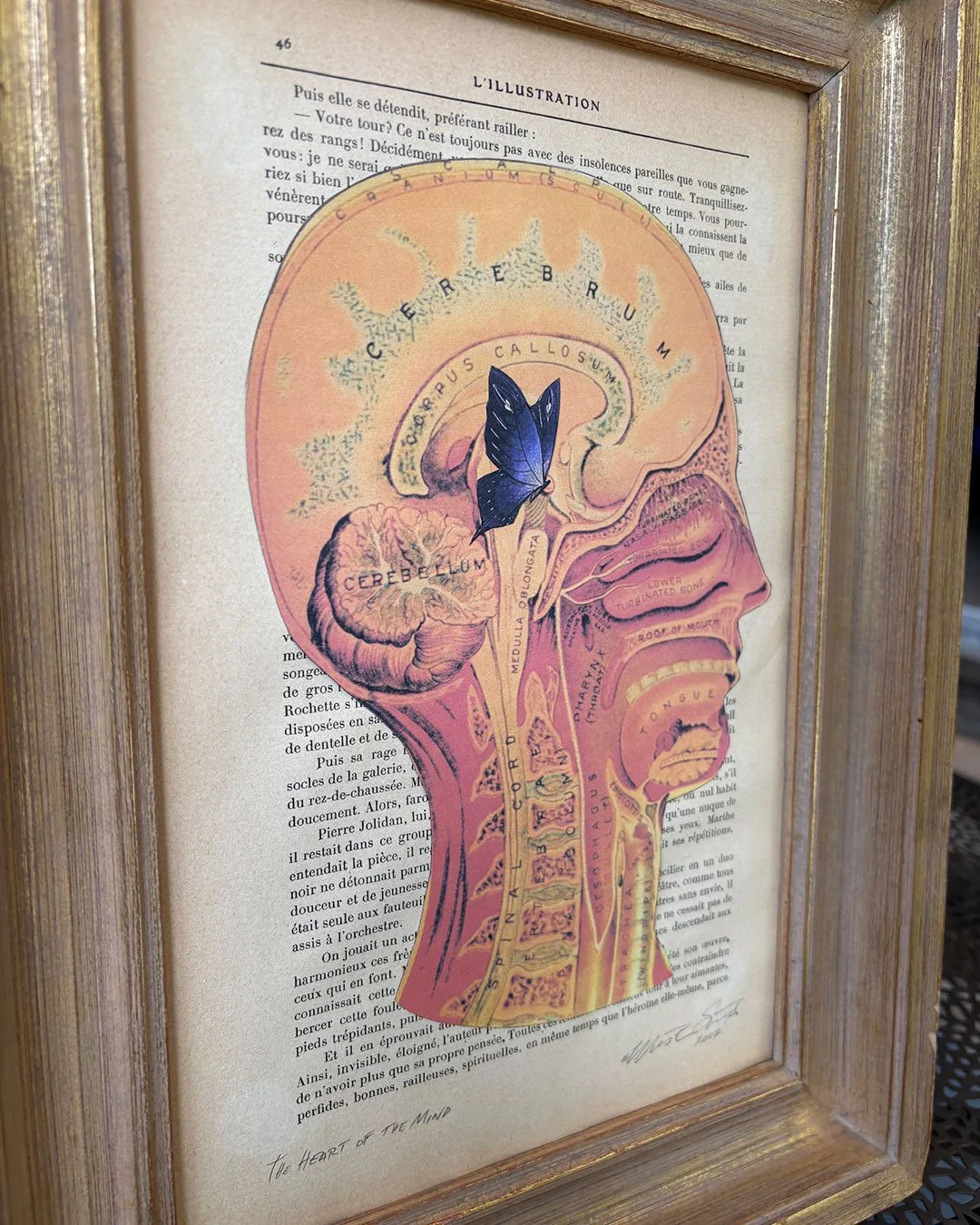 Heart-of-the-Mind-3.jpg