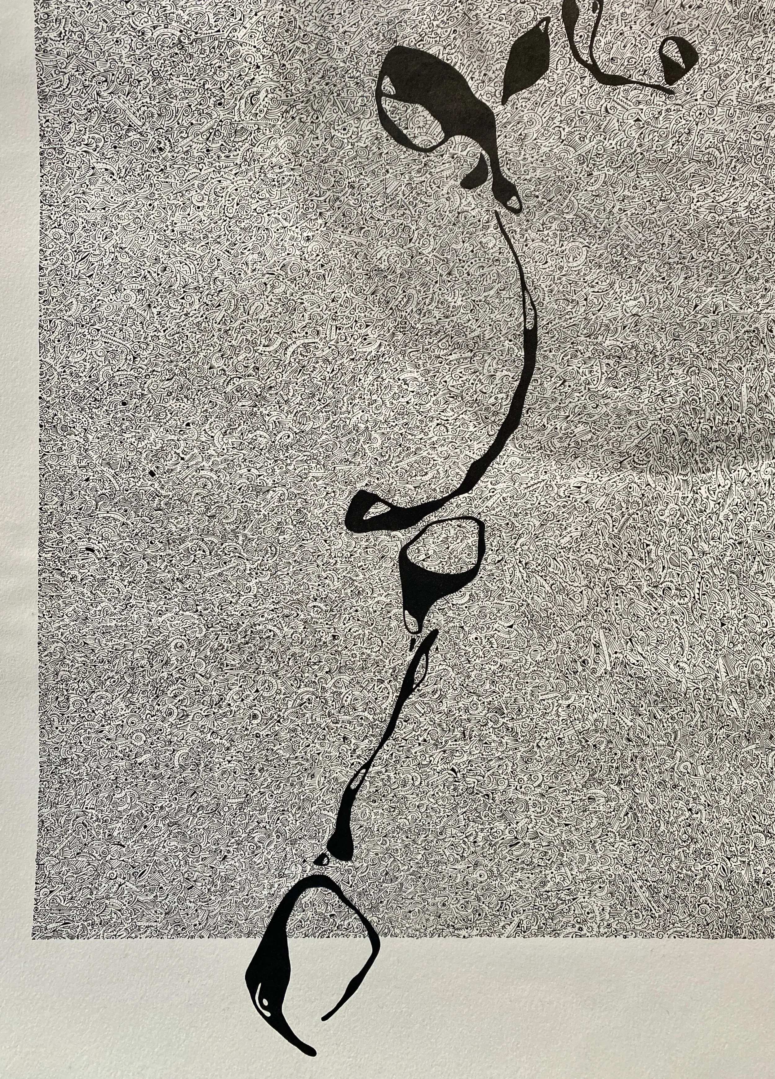 IMG_8482.JPG