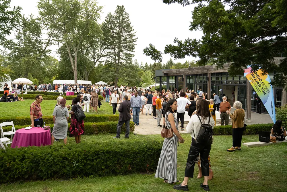 A crown of people visiting and mingling outside on the grass