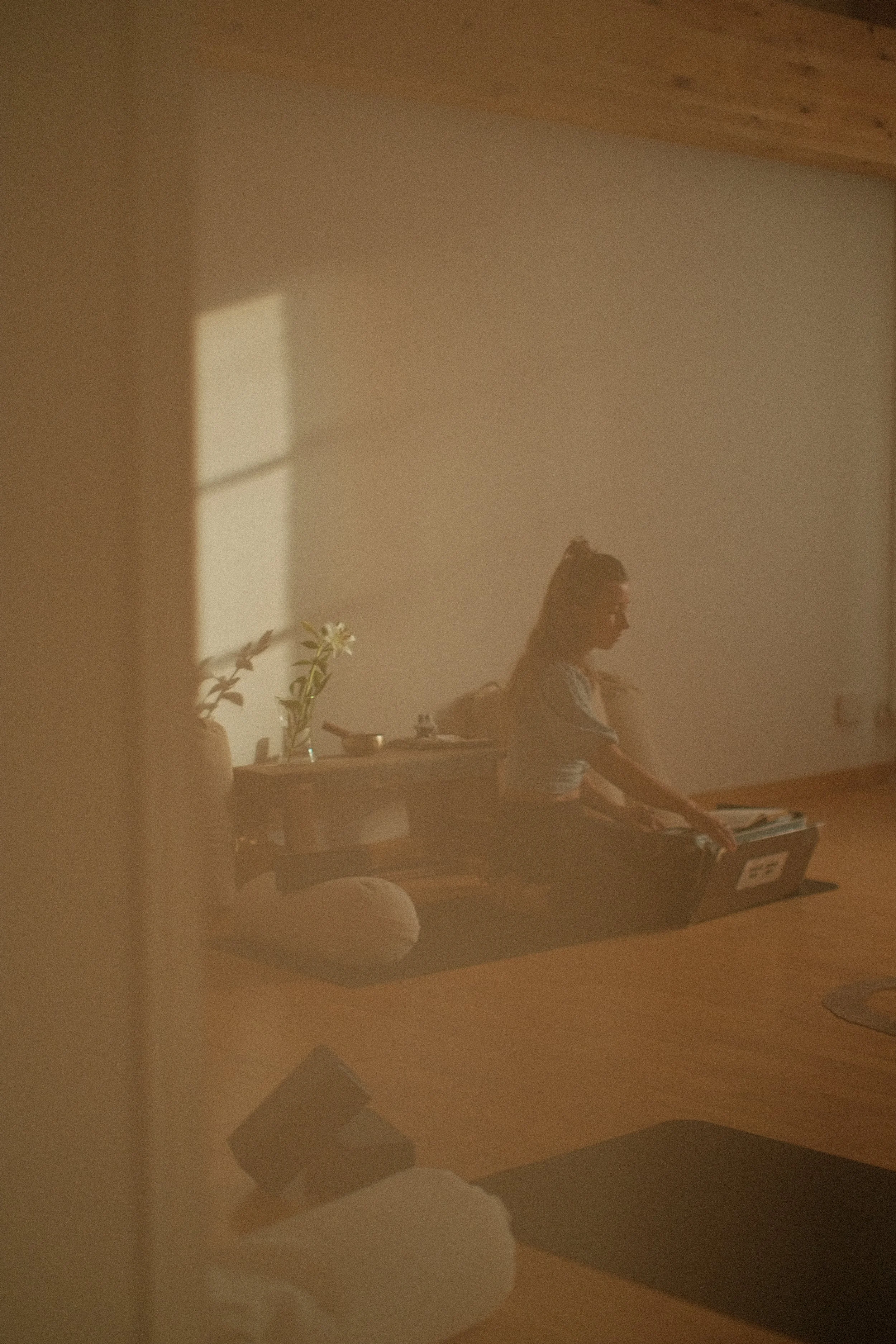 A woman sitting at a desk with a laptop, papers, and plants in a softly lit room, with sunlight streaming through a window and casting shadows on the wall.