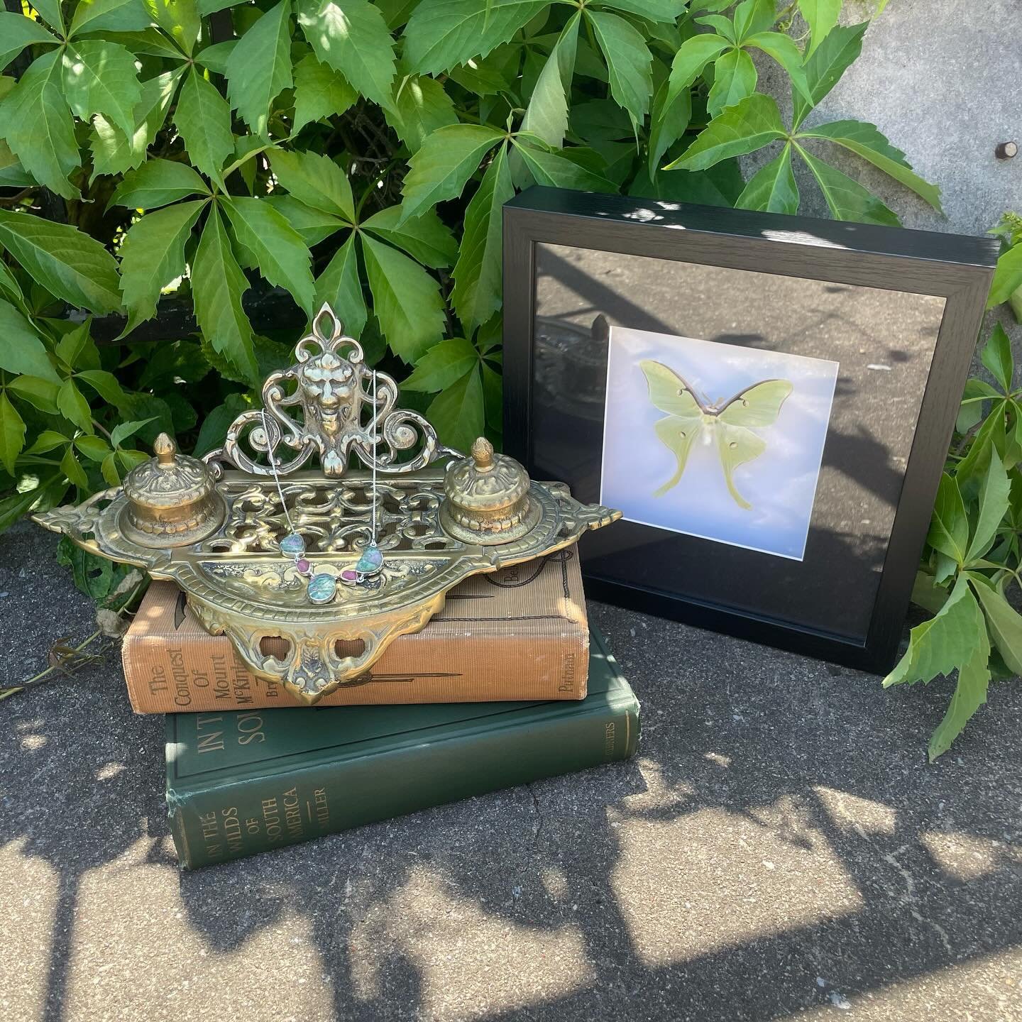 Dreamy goodness right here. Luna moth $65. Sterling gemstone necklace $115. The Conquest of Mount McKinley $150, In the Wilds of South America $20. Antique Renaissance Revival Double Brass lion Inkwell $80.