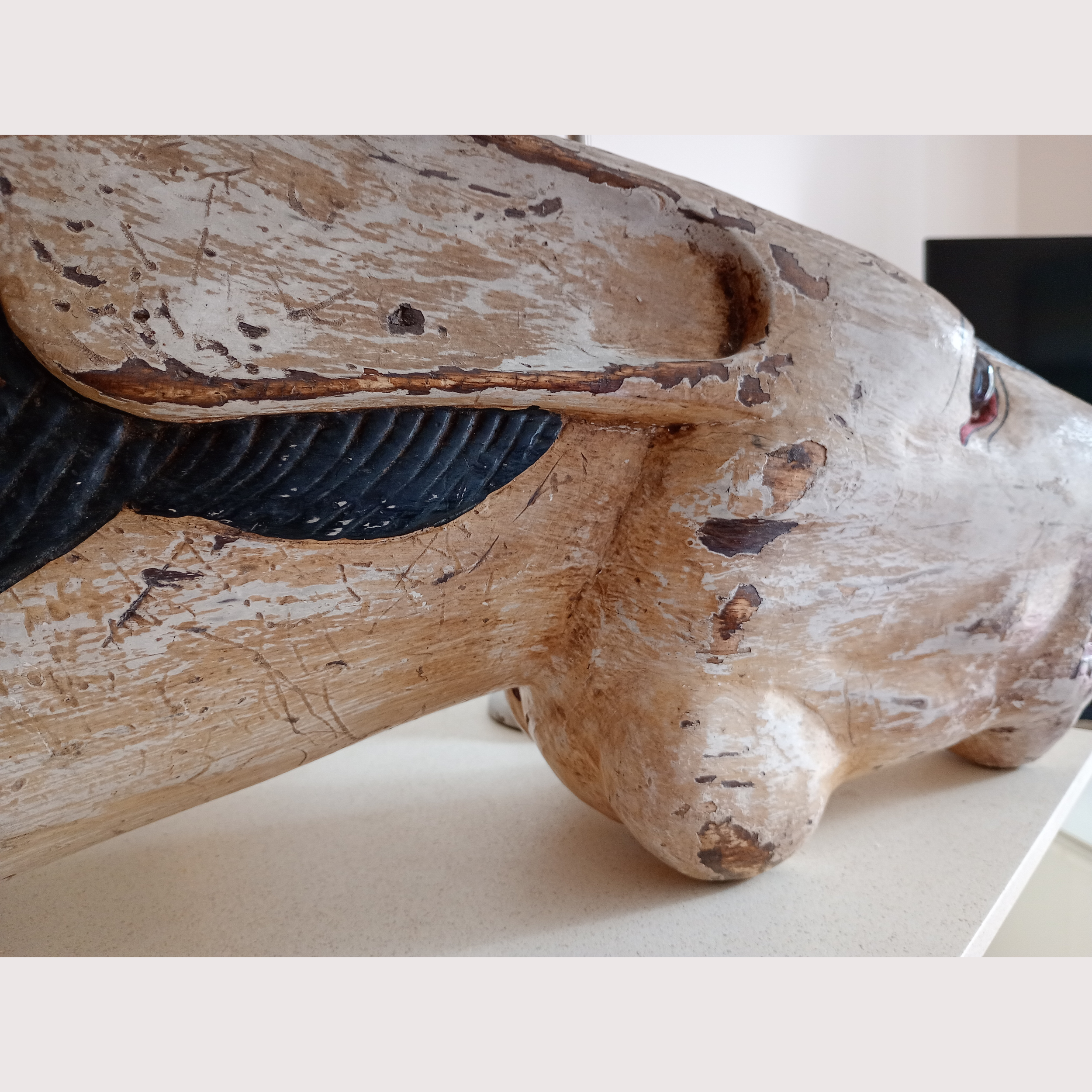 9_WEBSITE_HORSES HEAD.png