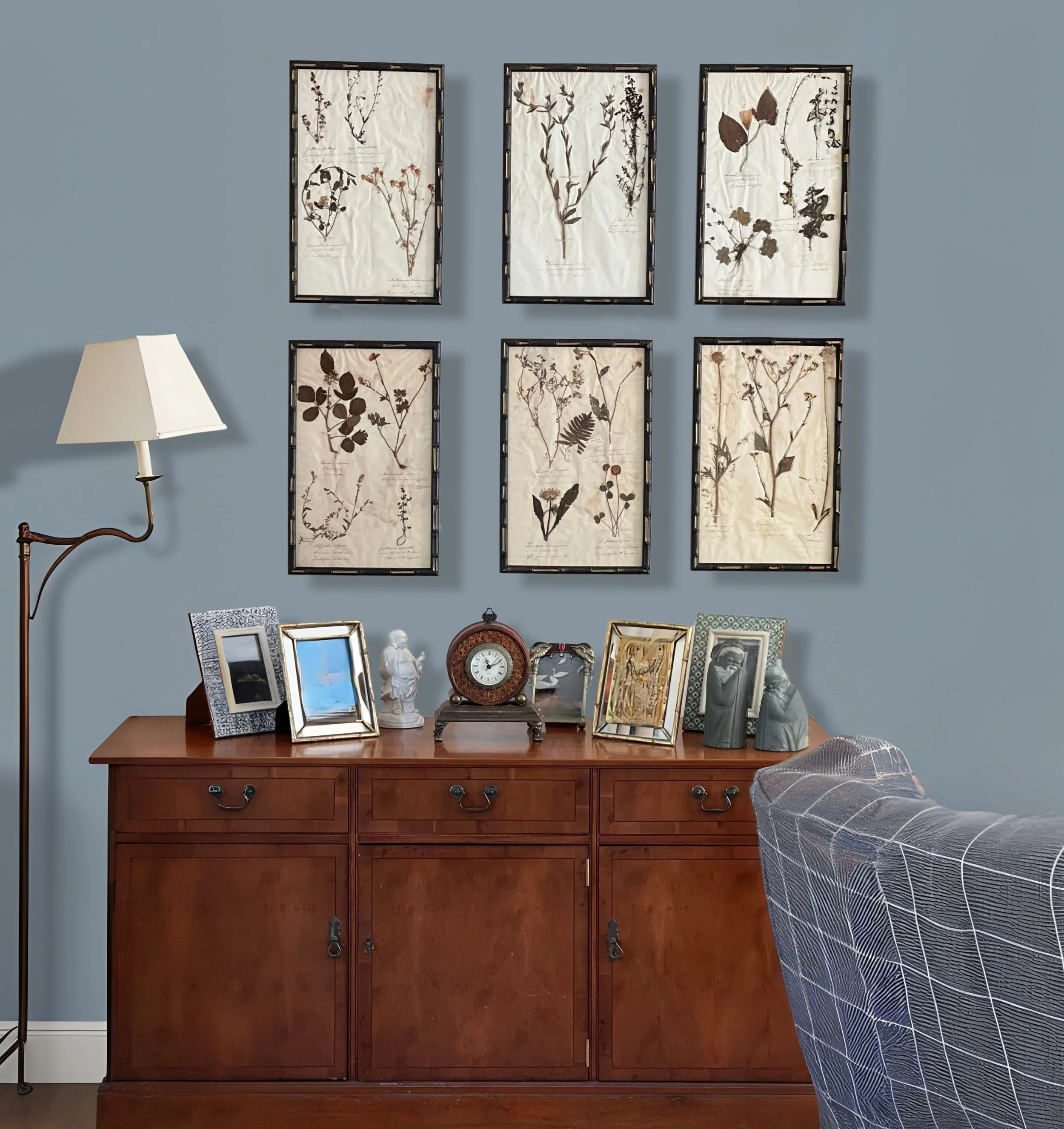 23_HERBARIUM PICTURES.jpg