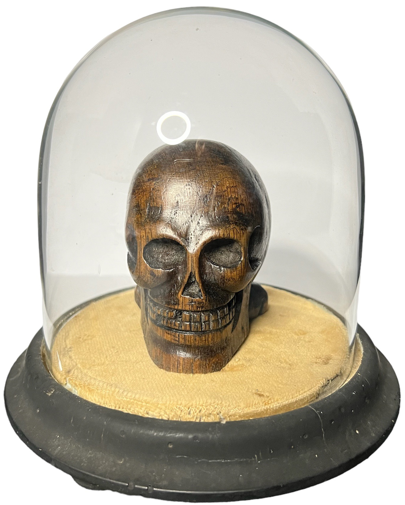 Memento Mori 19th Century 1.png