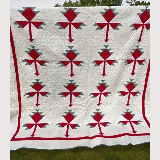 1_WEBSITE_LILY OF THE FIELD.png