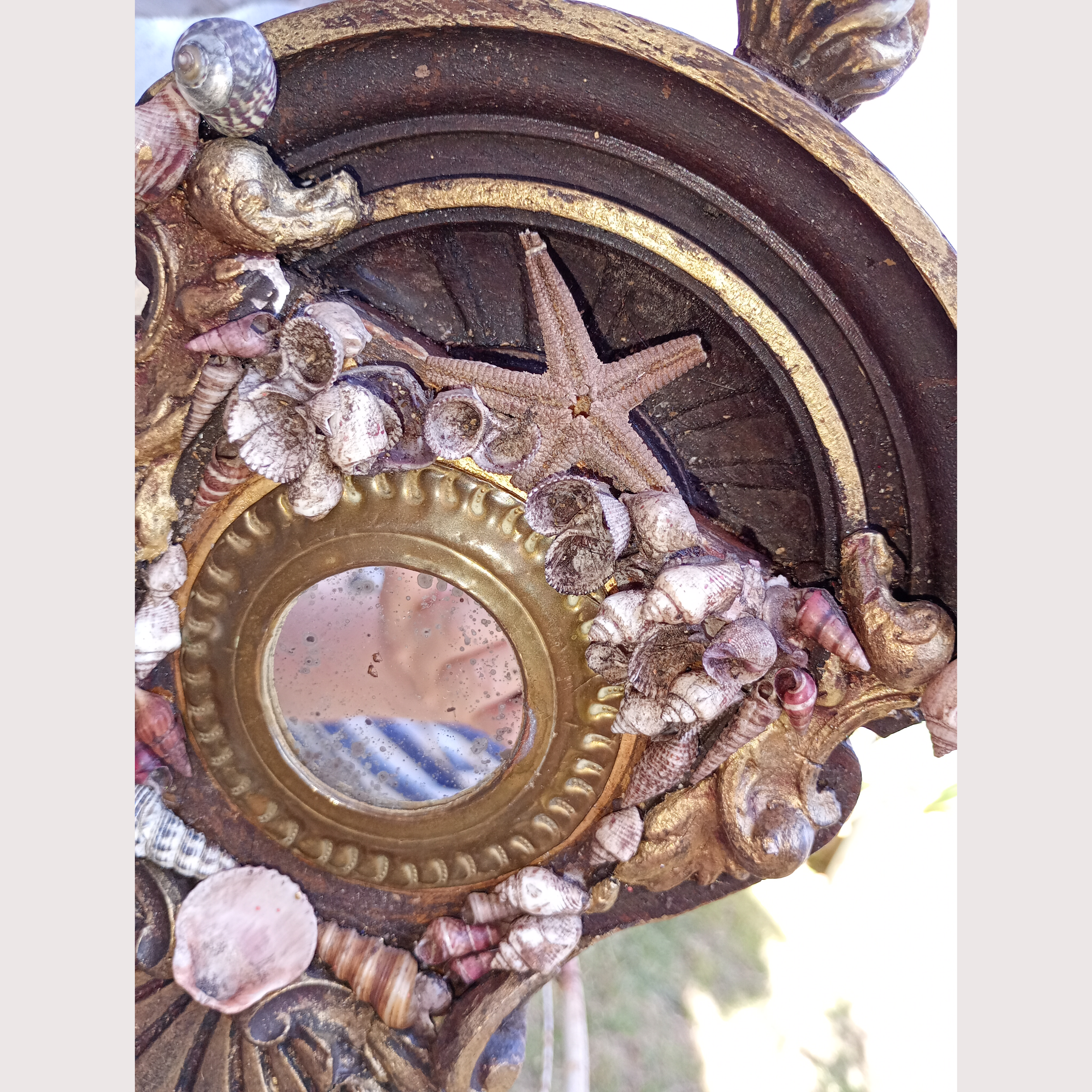 2_WEBSITE_SHELL MIRROR.png