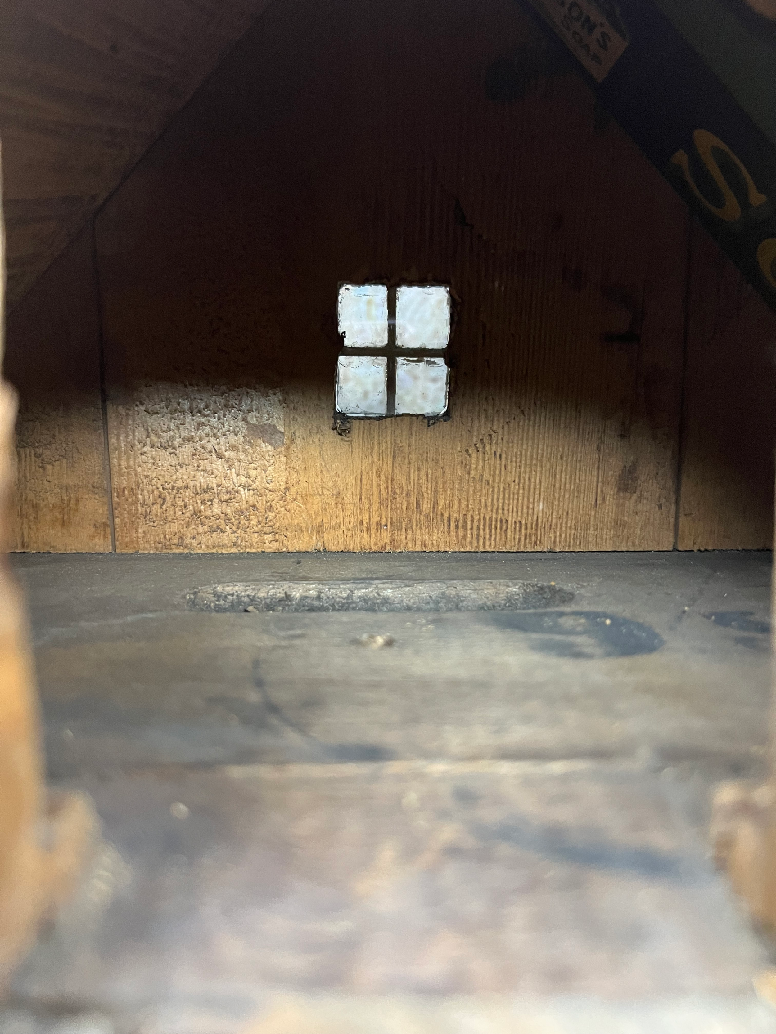 15_DOLLS HOUSE.png