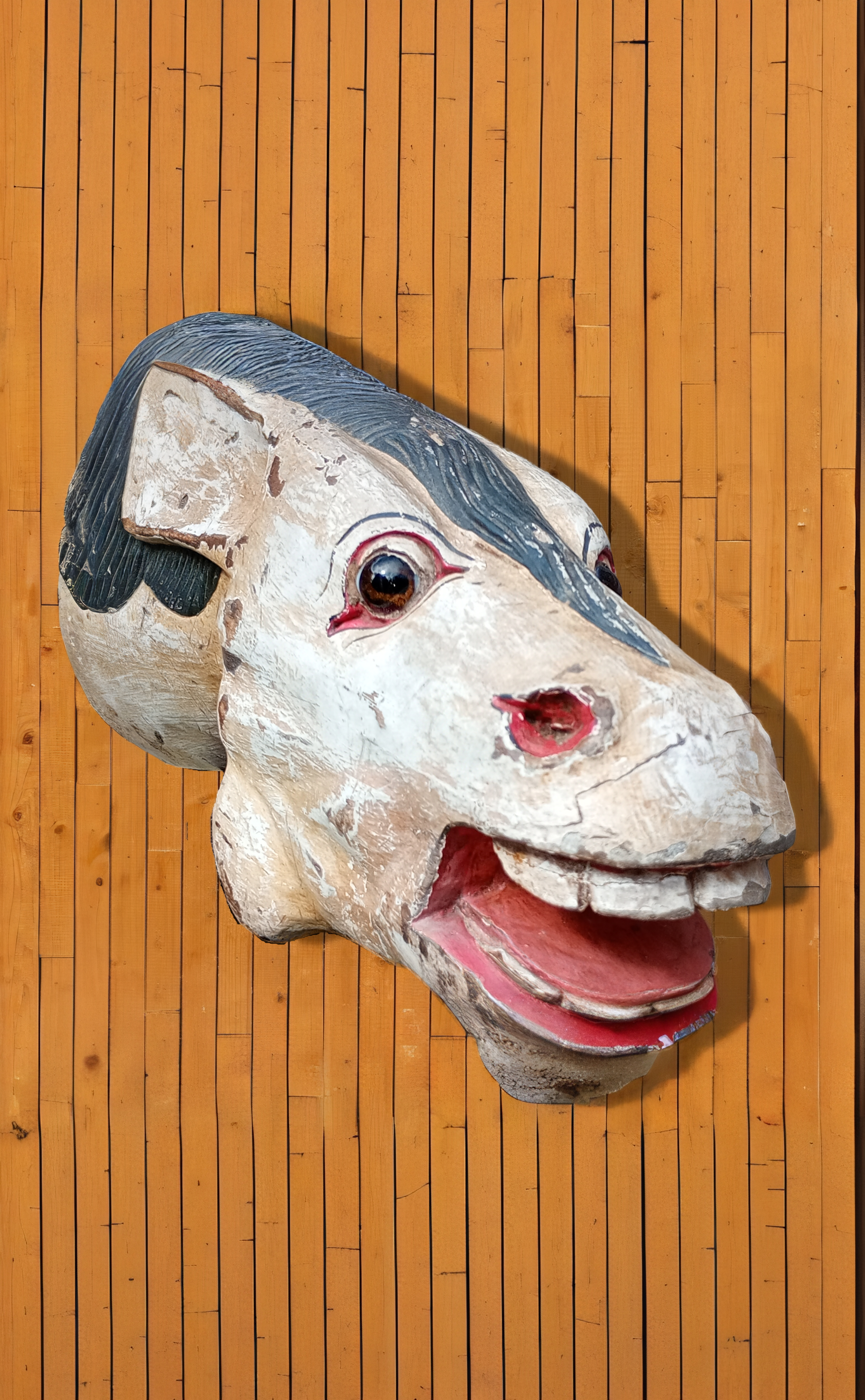 1_main picture_WEBSITE_HORSES HEAD.png