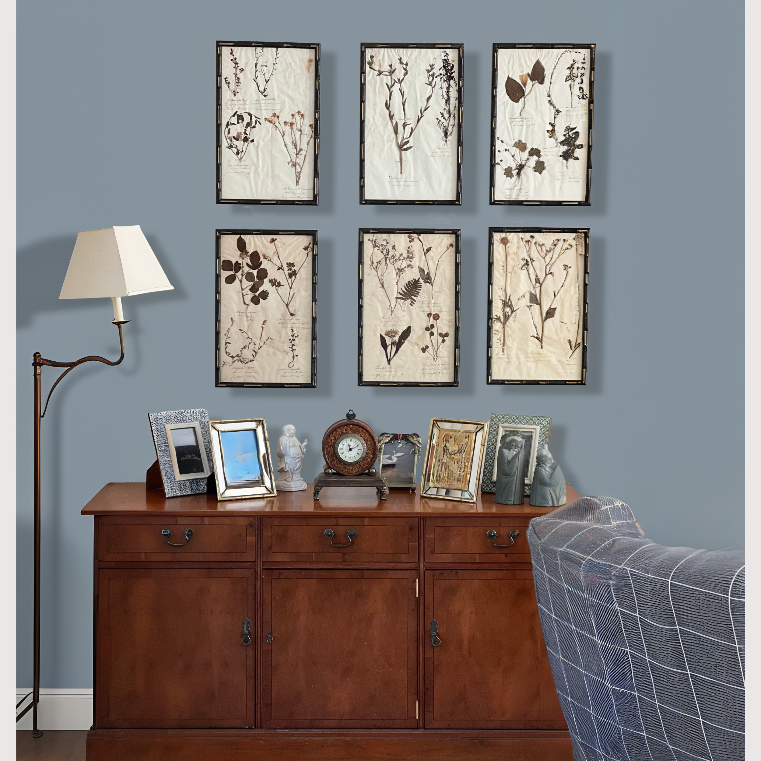 3_WEBSITE_6 HERBARIUM PICTURES.png