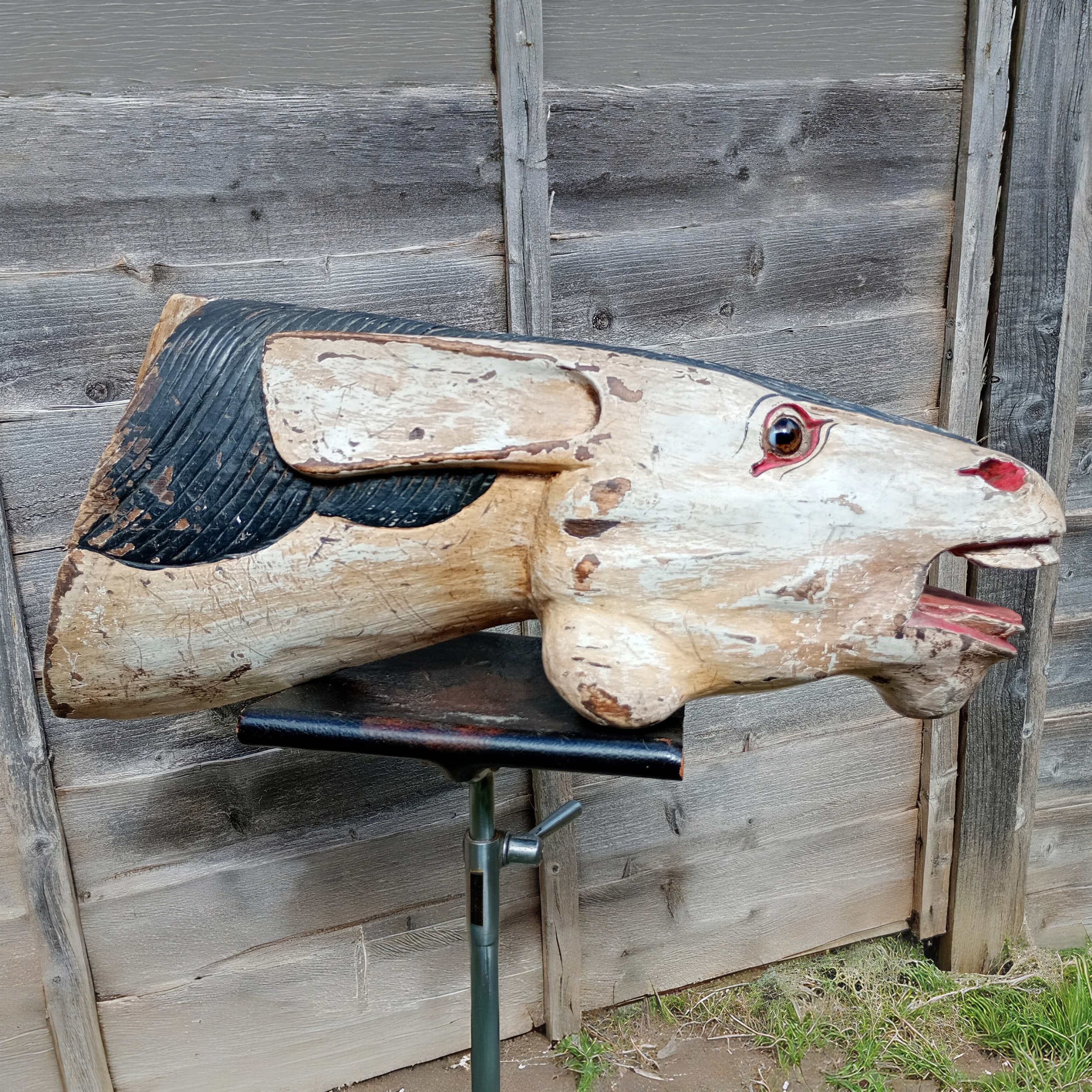 5_WEBSITE_HORSES HEAD.png
