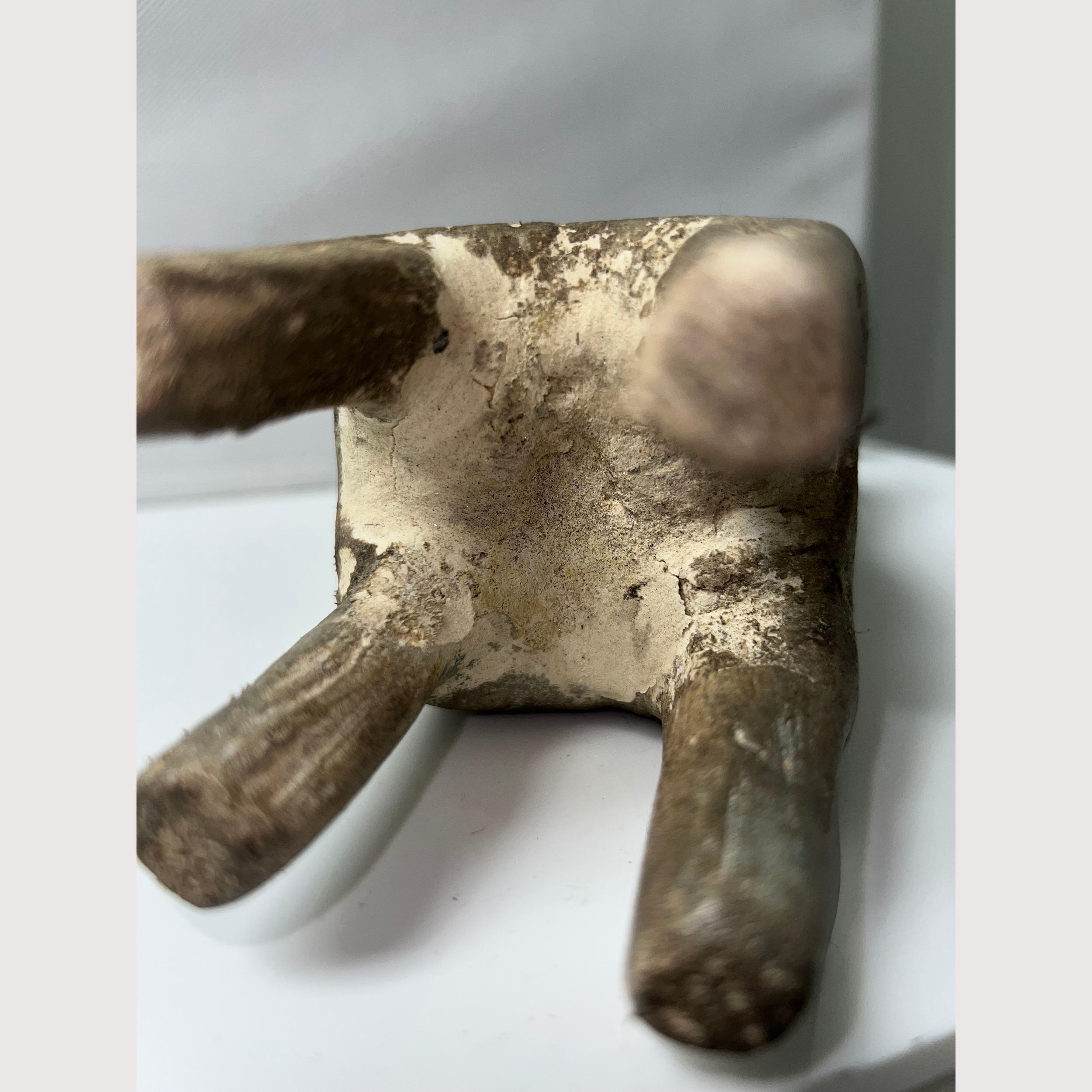 7_WEBSITE_Tooth.png