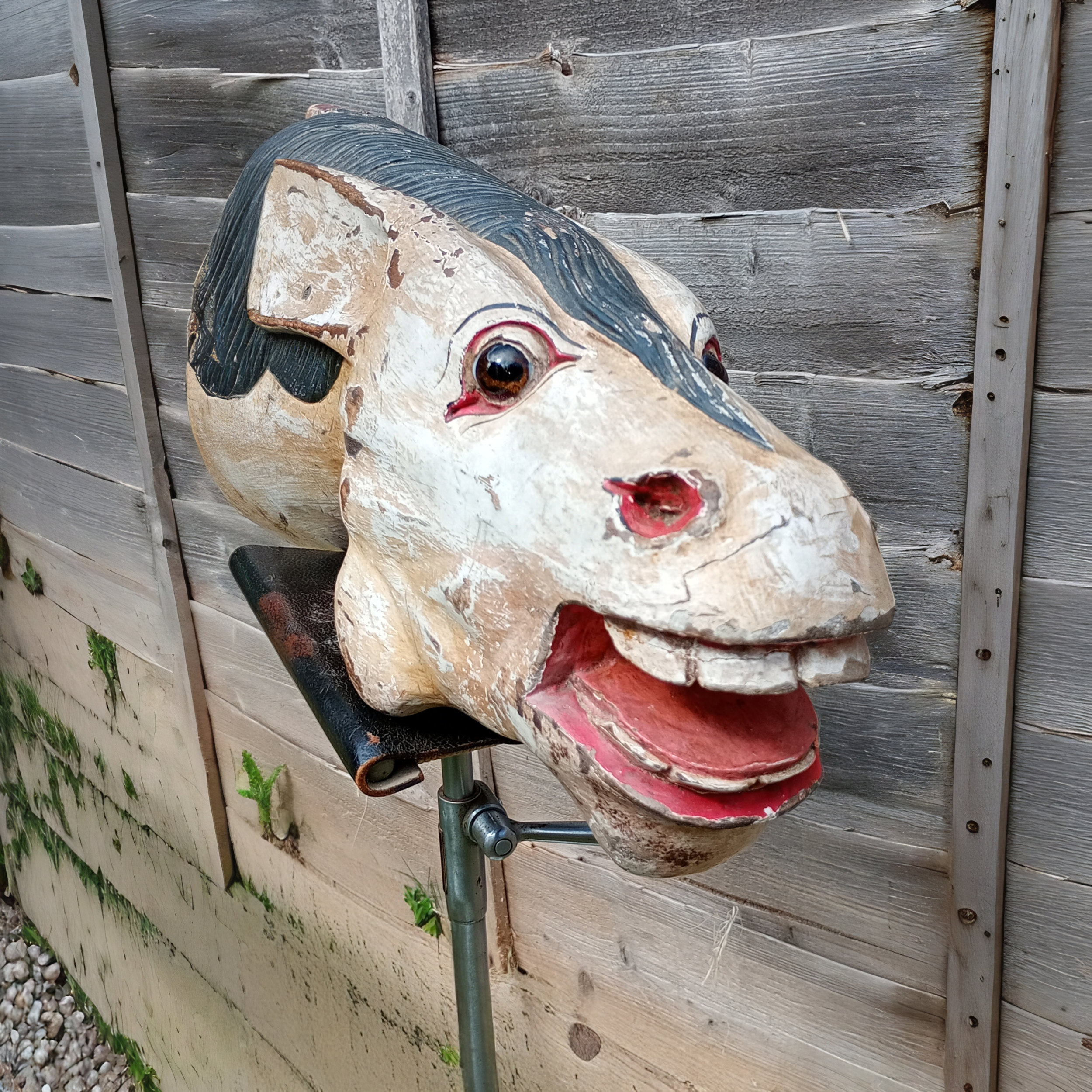4_WEBSITE_HORSES HEAD.png