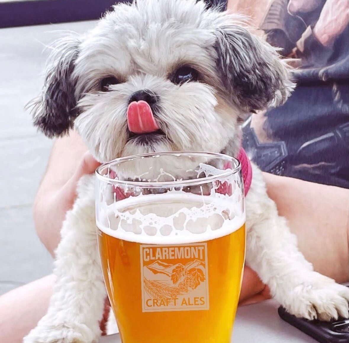 Lip smacking good! 

Come by on this awesome Thursday evening. We&rsquo;re open from 3pm-10pm. @thetropictruck will be here, too. Cheers!

Thanks @drinkswithdaphne for the cute pic!