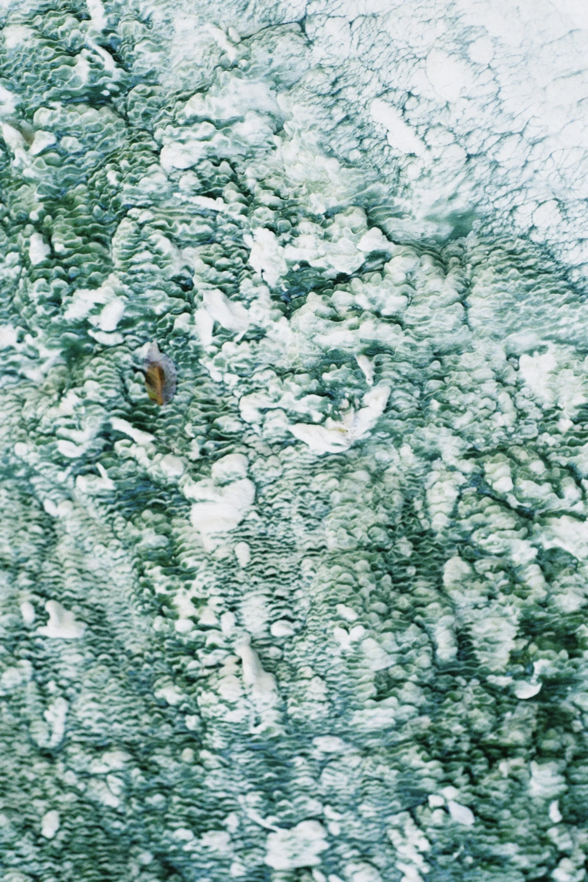PIC 015.jpg