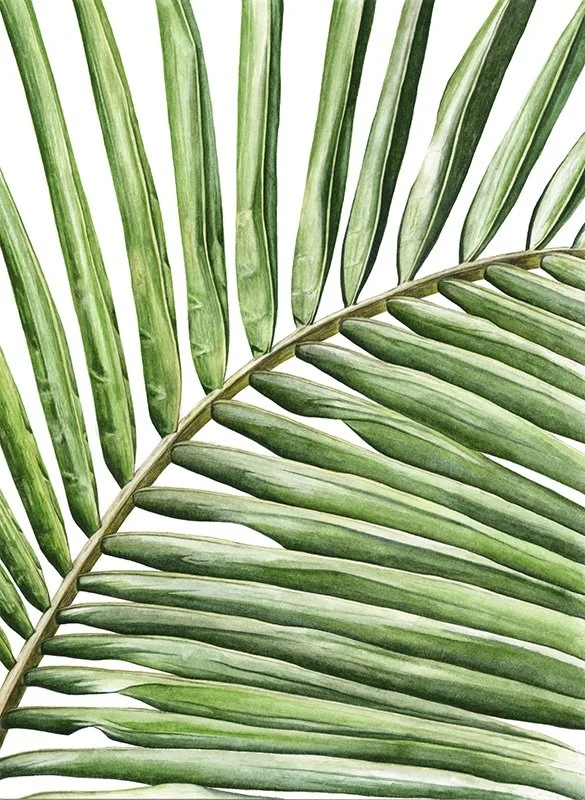 Palm Lines Giclee Print