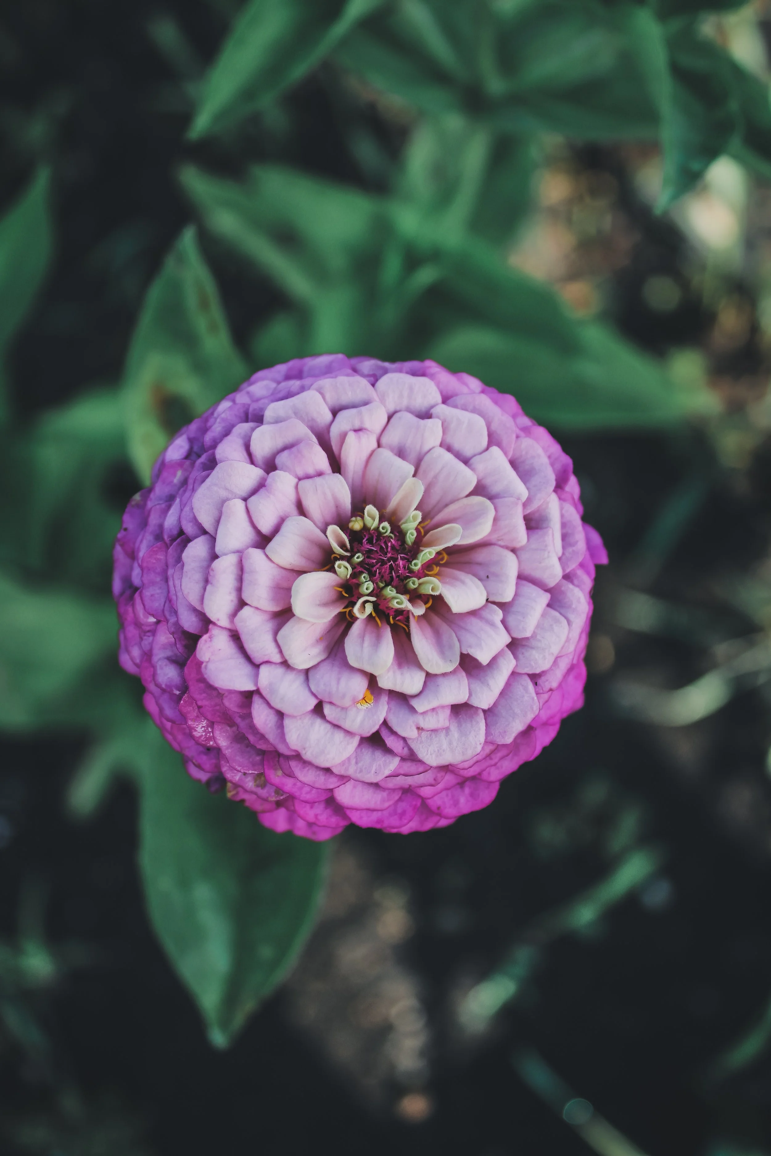 processed_f790d40359b842d9975aa0889075da33.jpeg