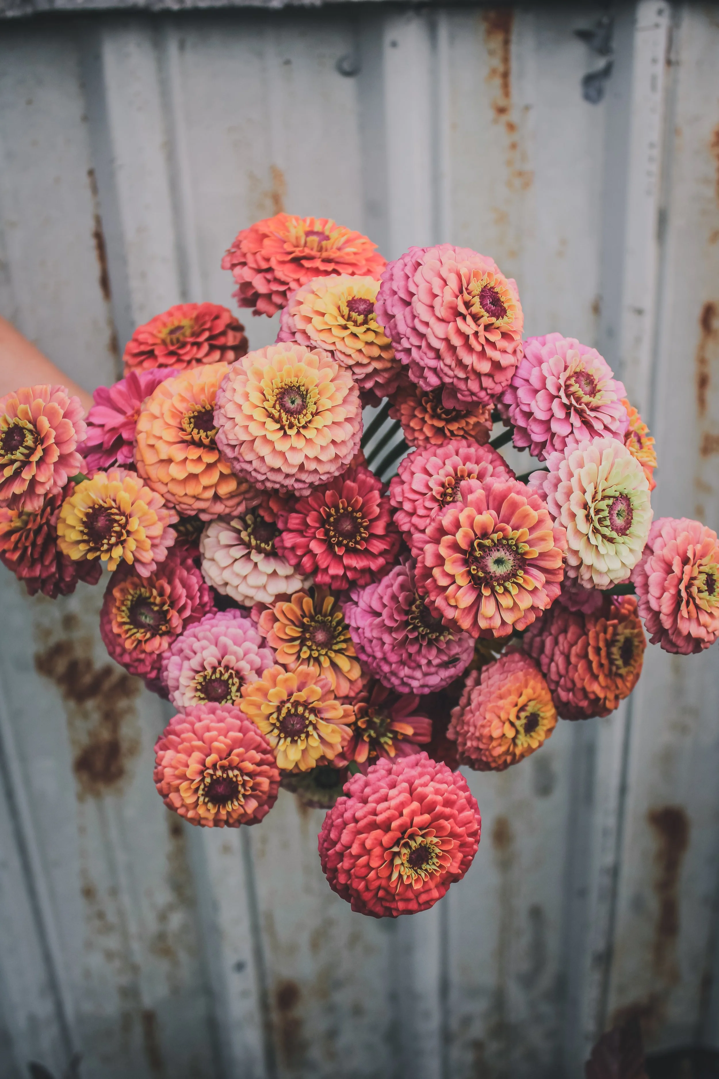 Dearest Joanna Kaleidoscope