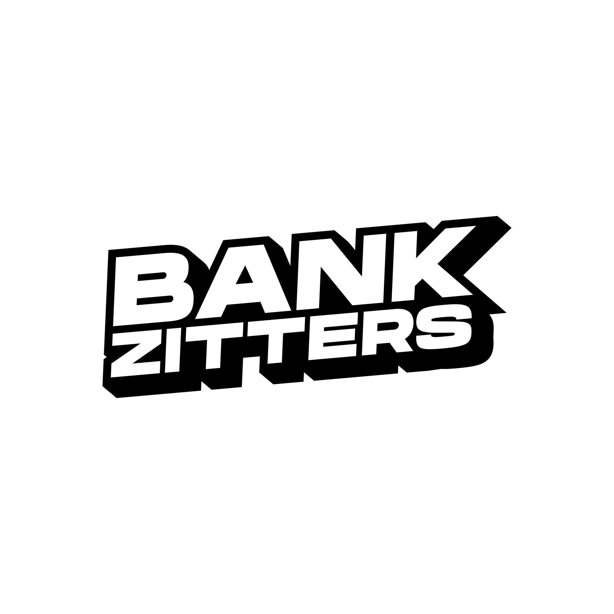 BANKZITTERS ICON.jpg