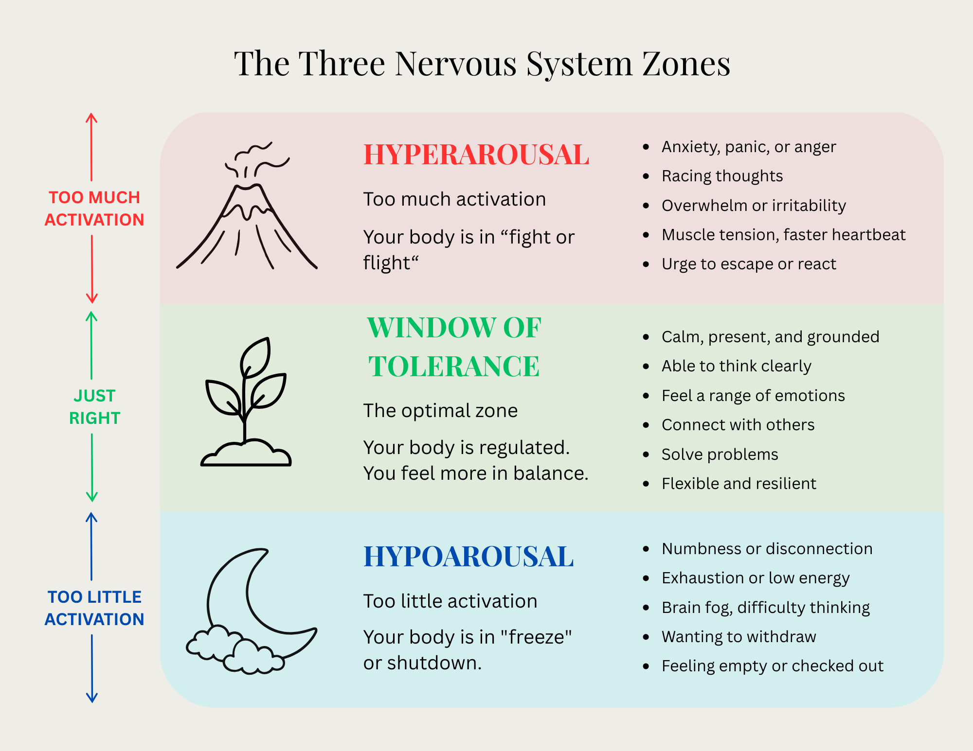 Understanding Your Window of Tolerance: Why You Feel Overwhelmed, Anxious, or Shut Down
