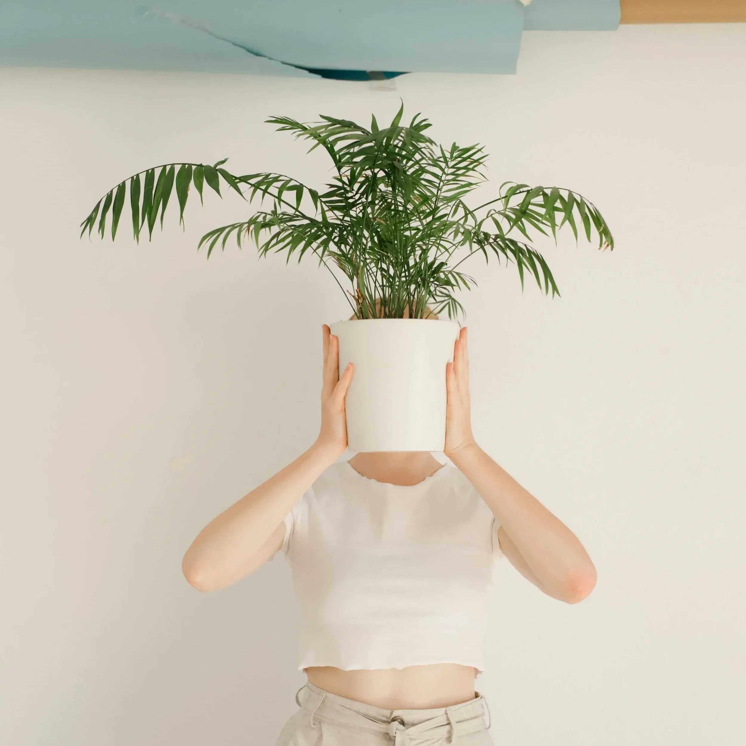 Outgrowing the Version of Yourself Everyone Knows
