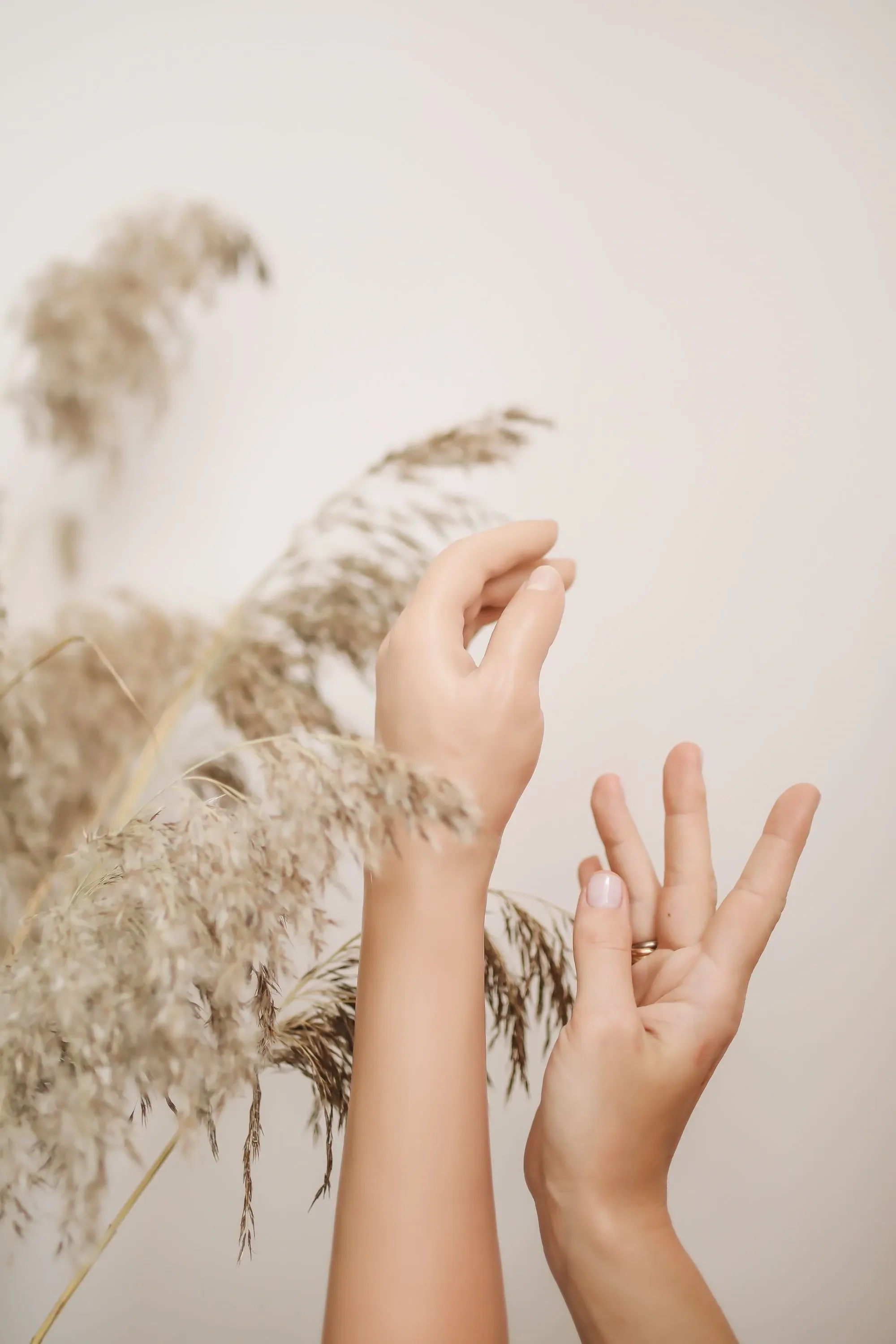 Close-up of two hands gently holding and touching each other against a neutral background, with dried ornamental grasses or plants in the foreground.