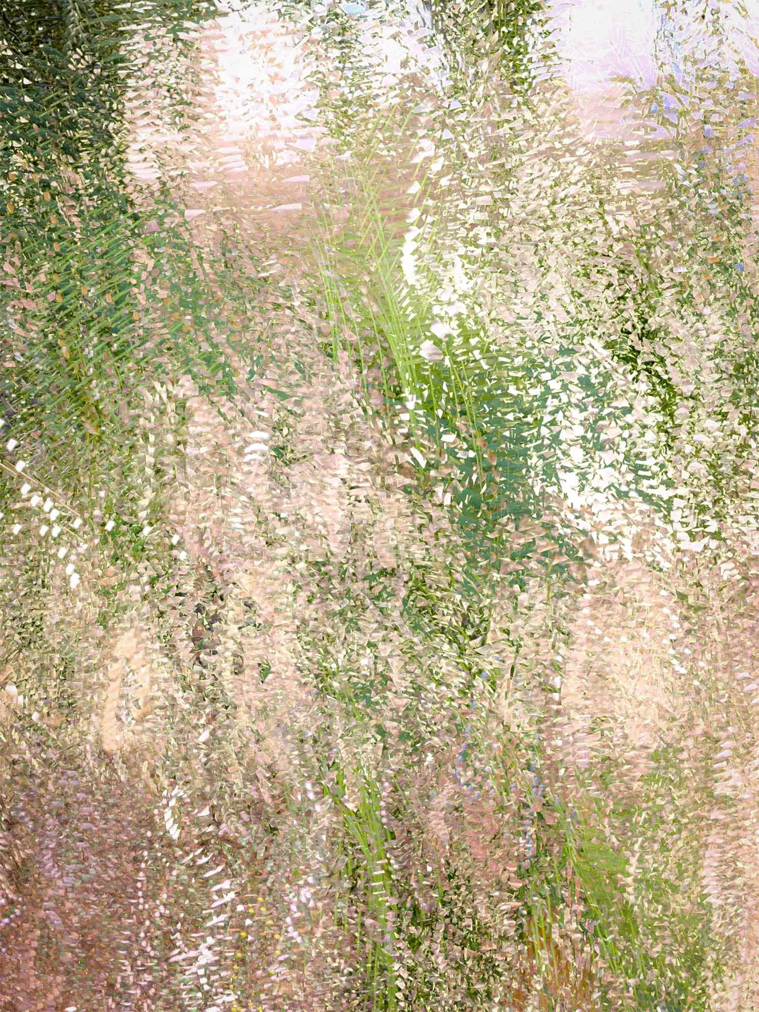 Field Drift II — Ltd Ed