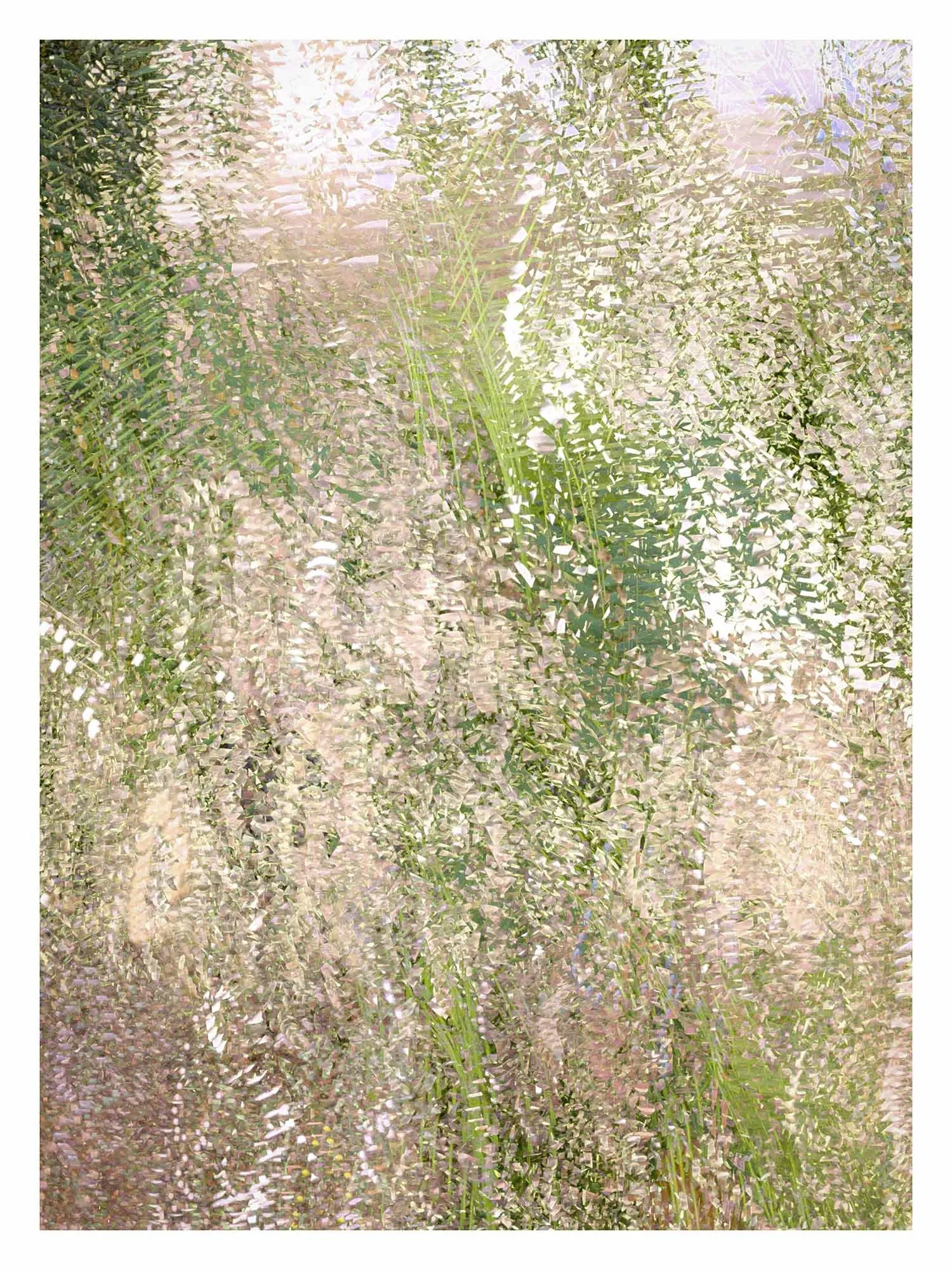 Field Drift II_wBorder.jpg