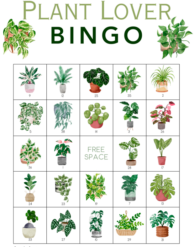plant bingo.png