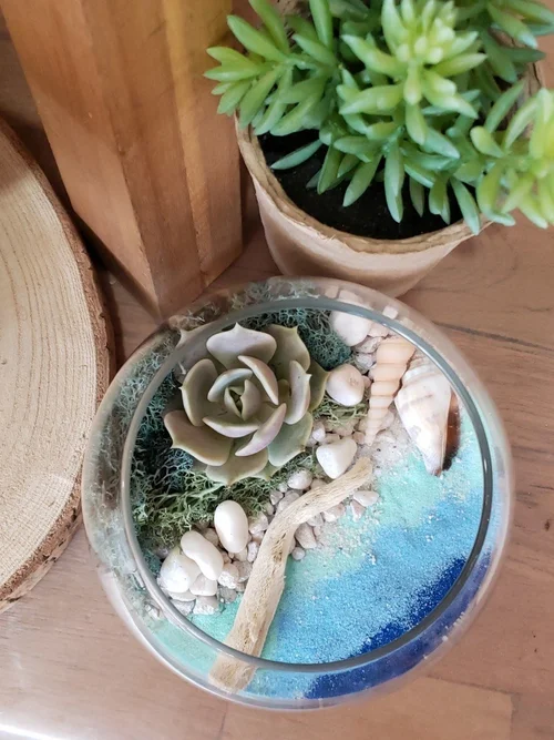 Modern Terrarium Bar, business photo 5
