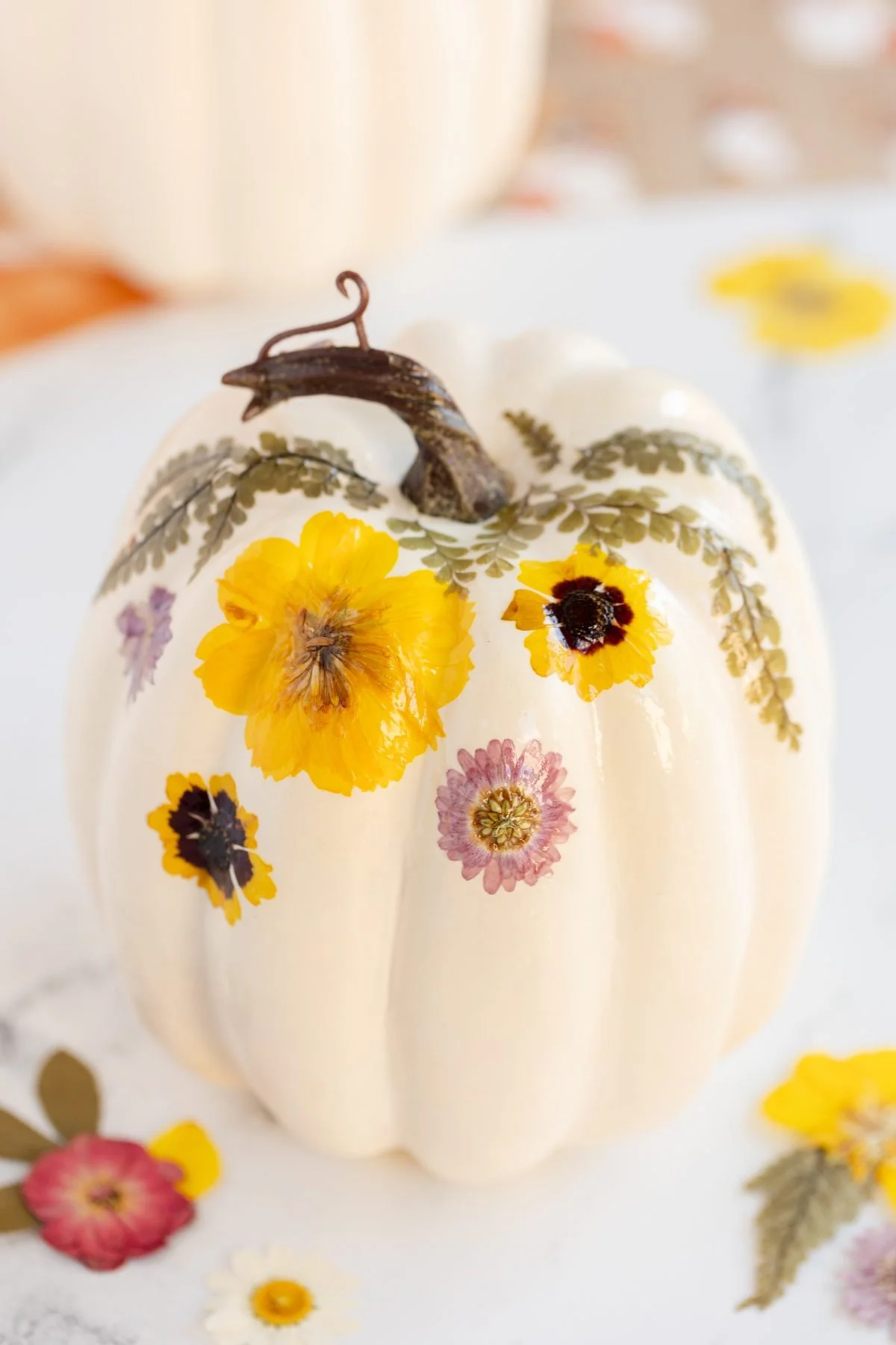 Botanical & Painted Pumpkin Workshop 11/12