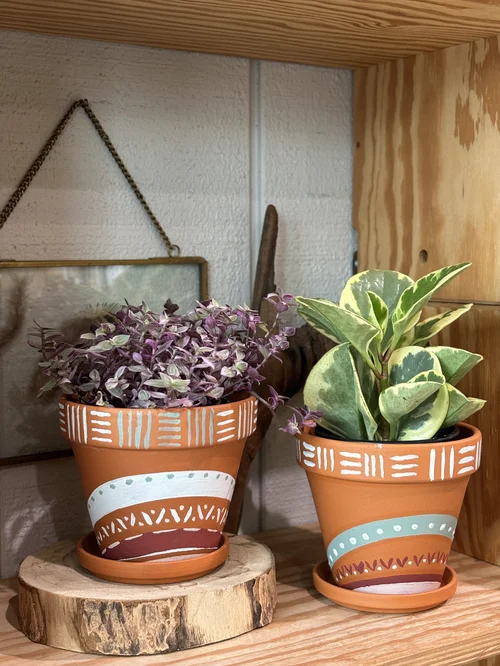 Modern Terrarium Bar, business photo 7
