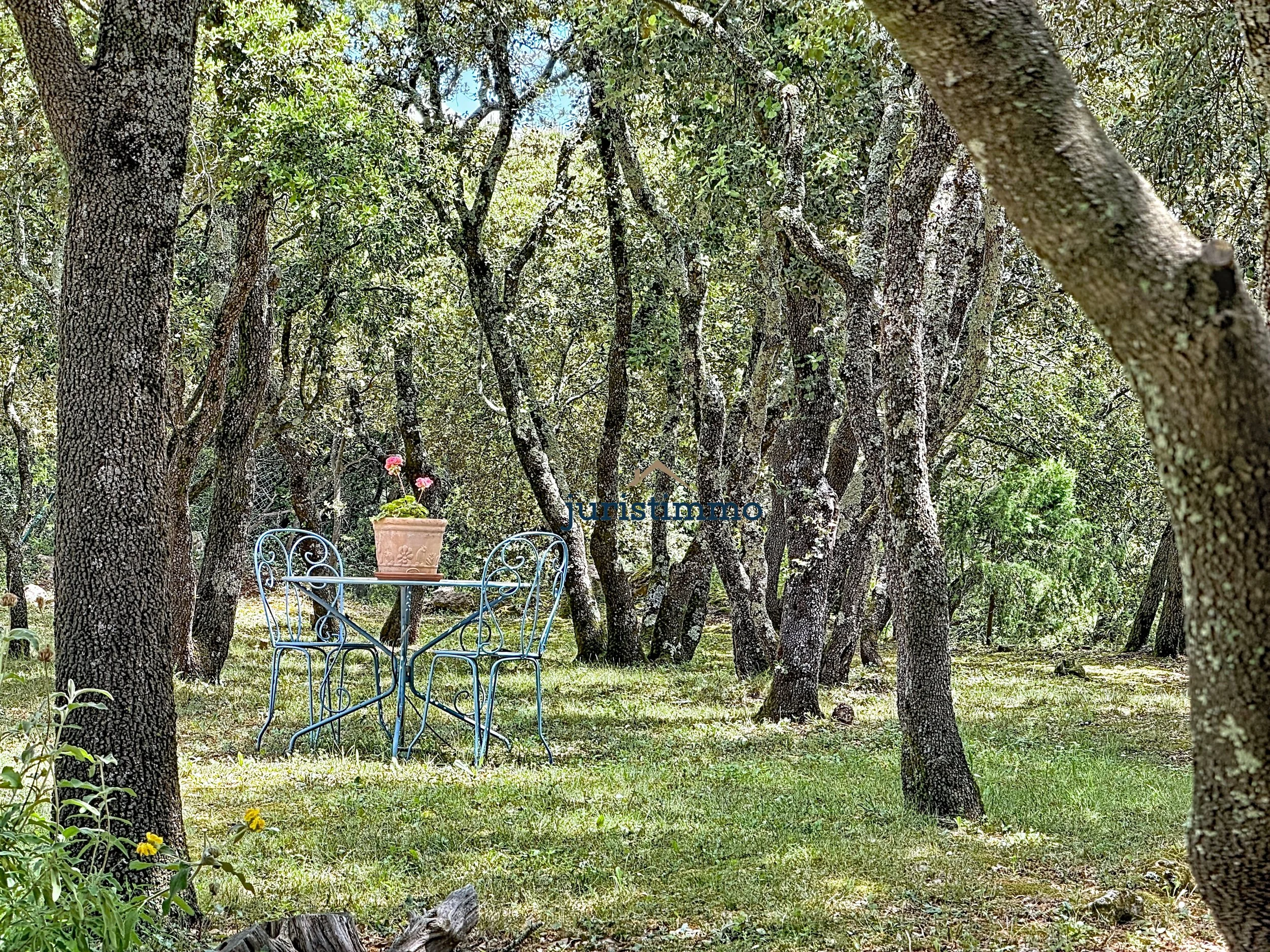 photo_918278f286f14dd94110c9b9b0bc60b2.jpg
