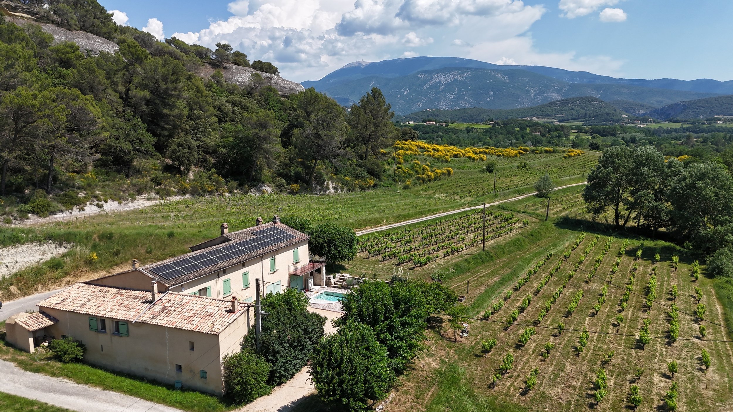 dji_fly_20250809_050704_0130_1780072643678_photo_beautify.JPG