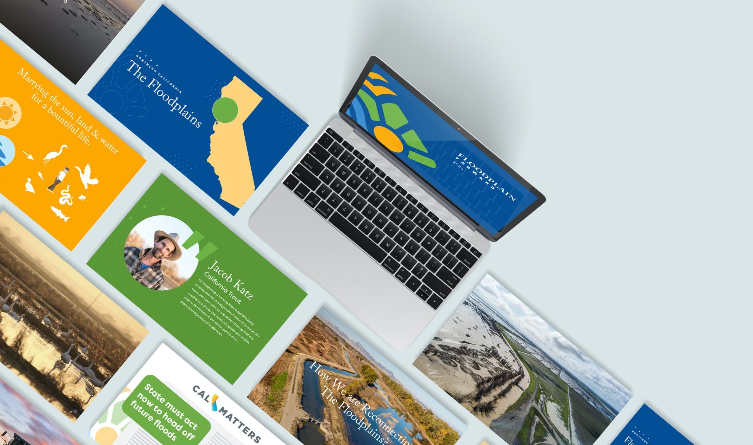 R. Michael Strategies, Client, Healthy Rivers CA, Print, Presentation Design, Water, Conservation, Wildlife, Agriculture