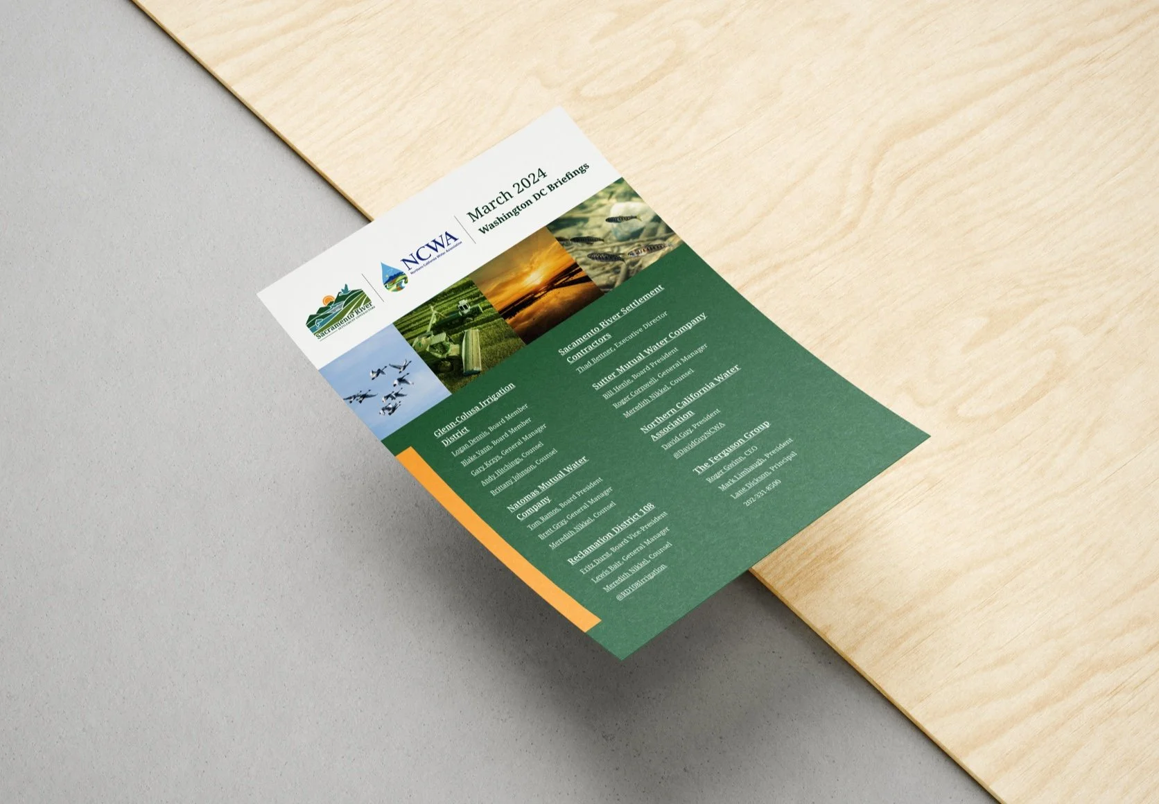 srsc-flyer2.jpg