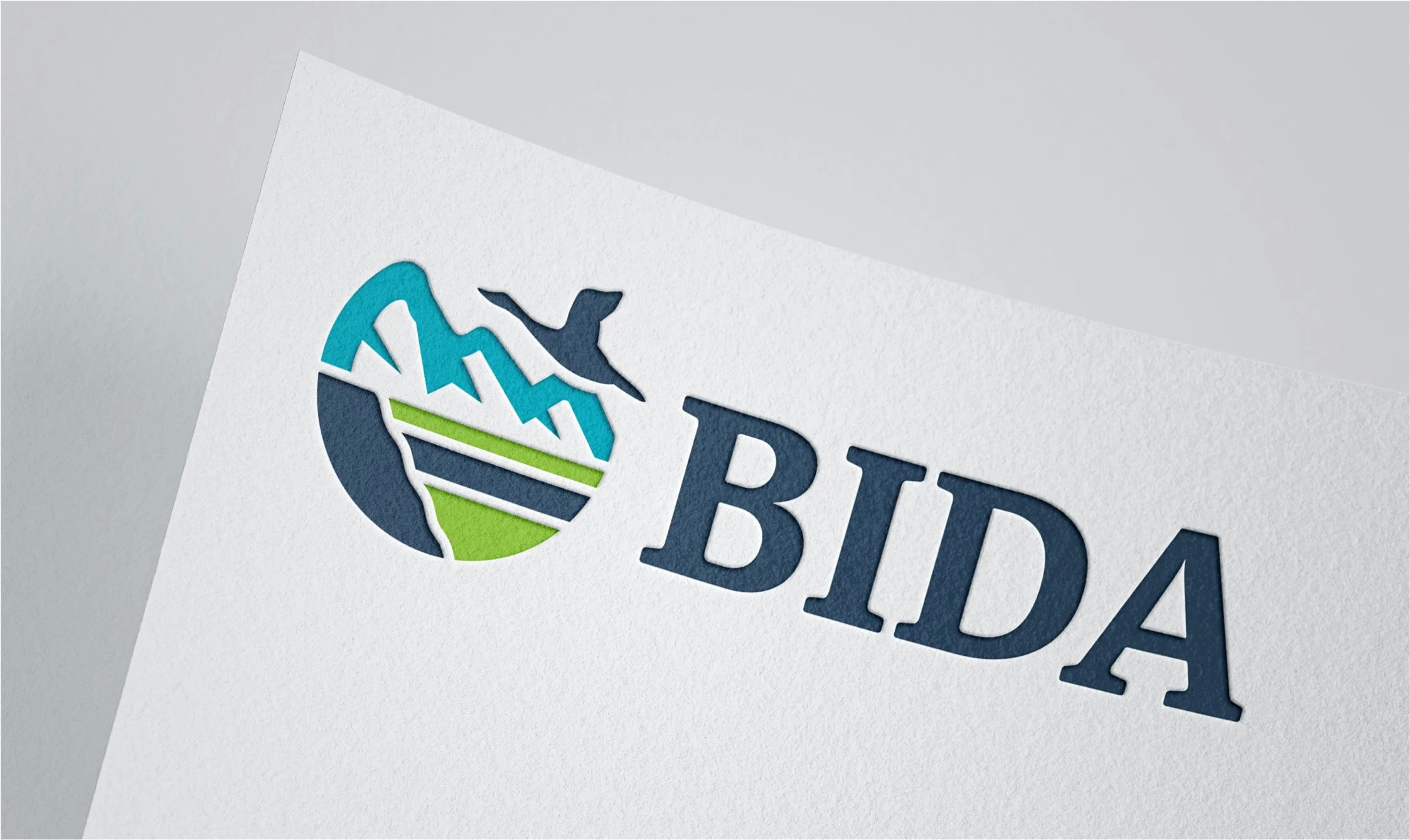 BIDA-image-header-logo.jpg