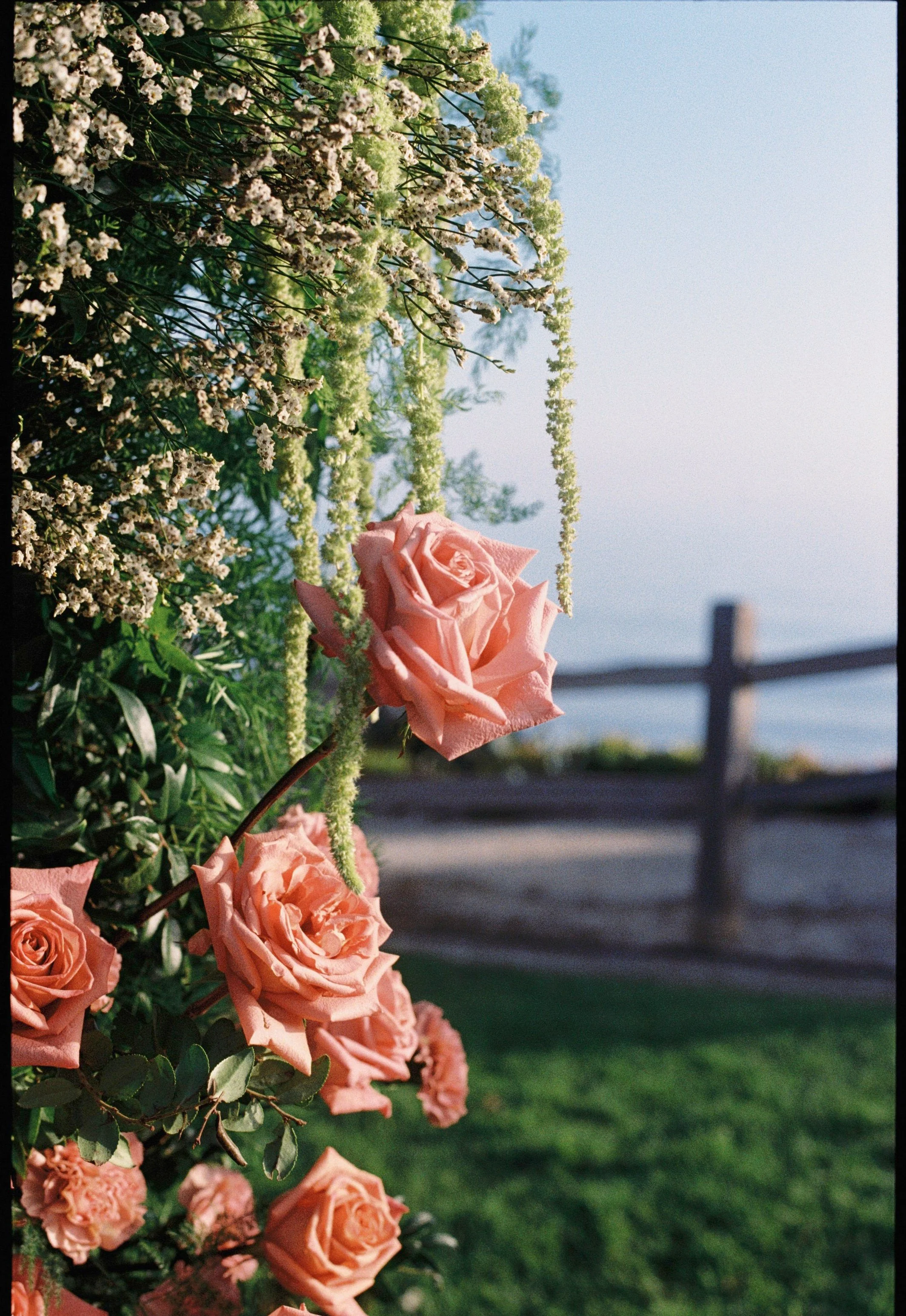 DETAILS00078.jpg