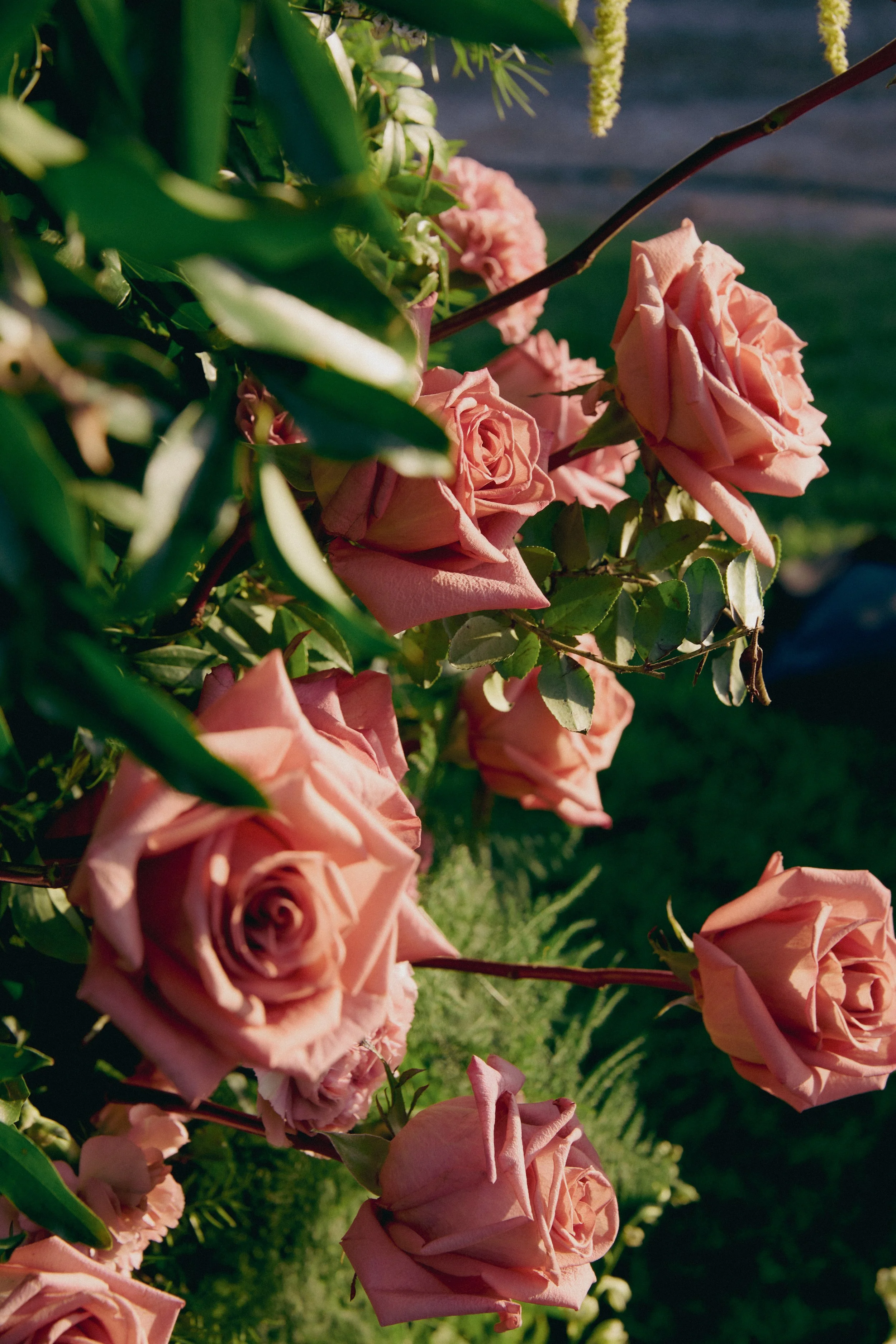 DETAILS00057.jpg